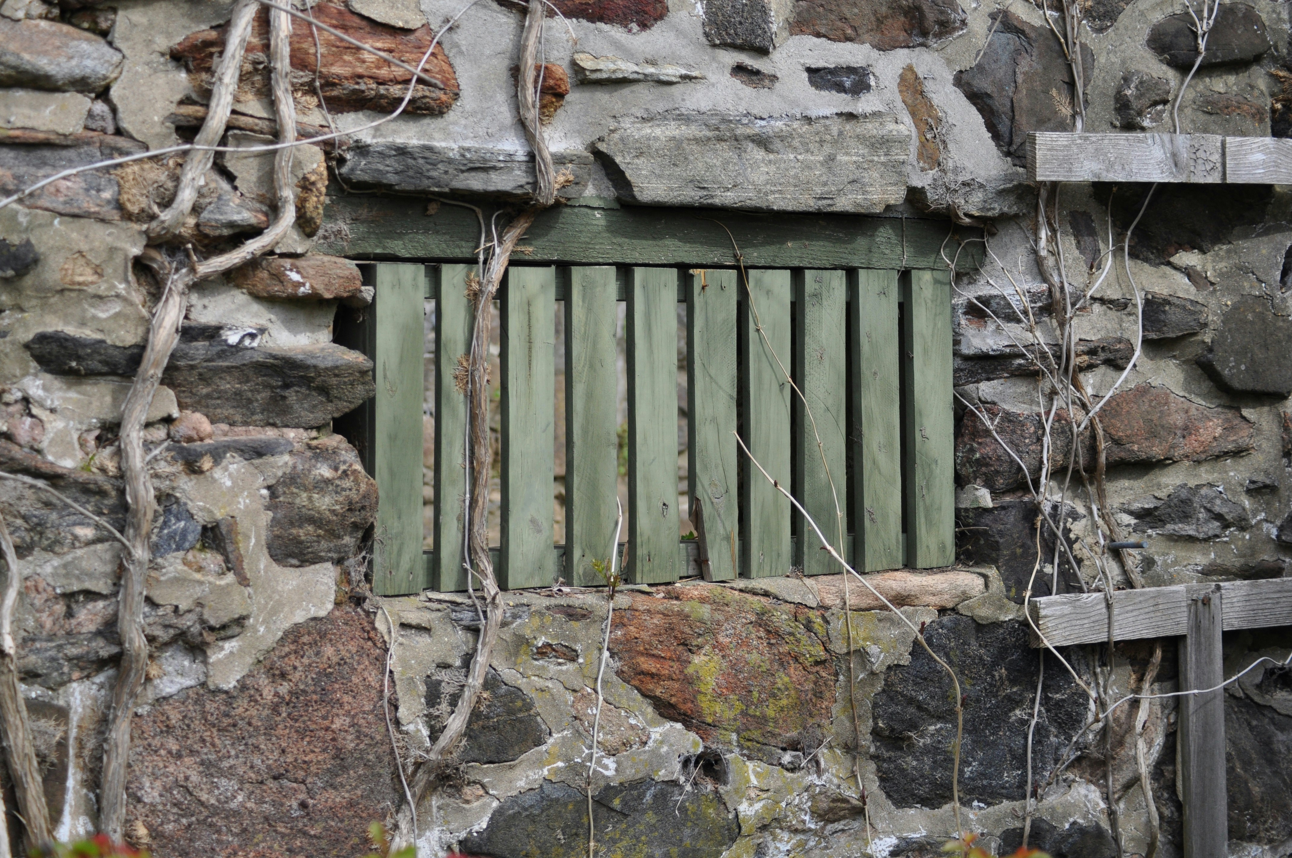 Photo by rebeccaobern