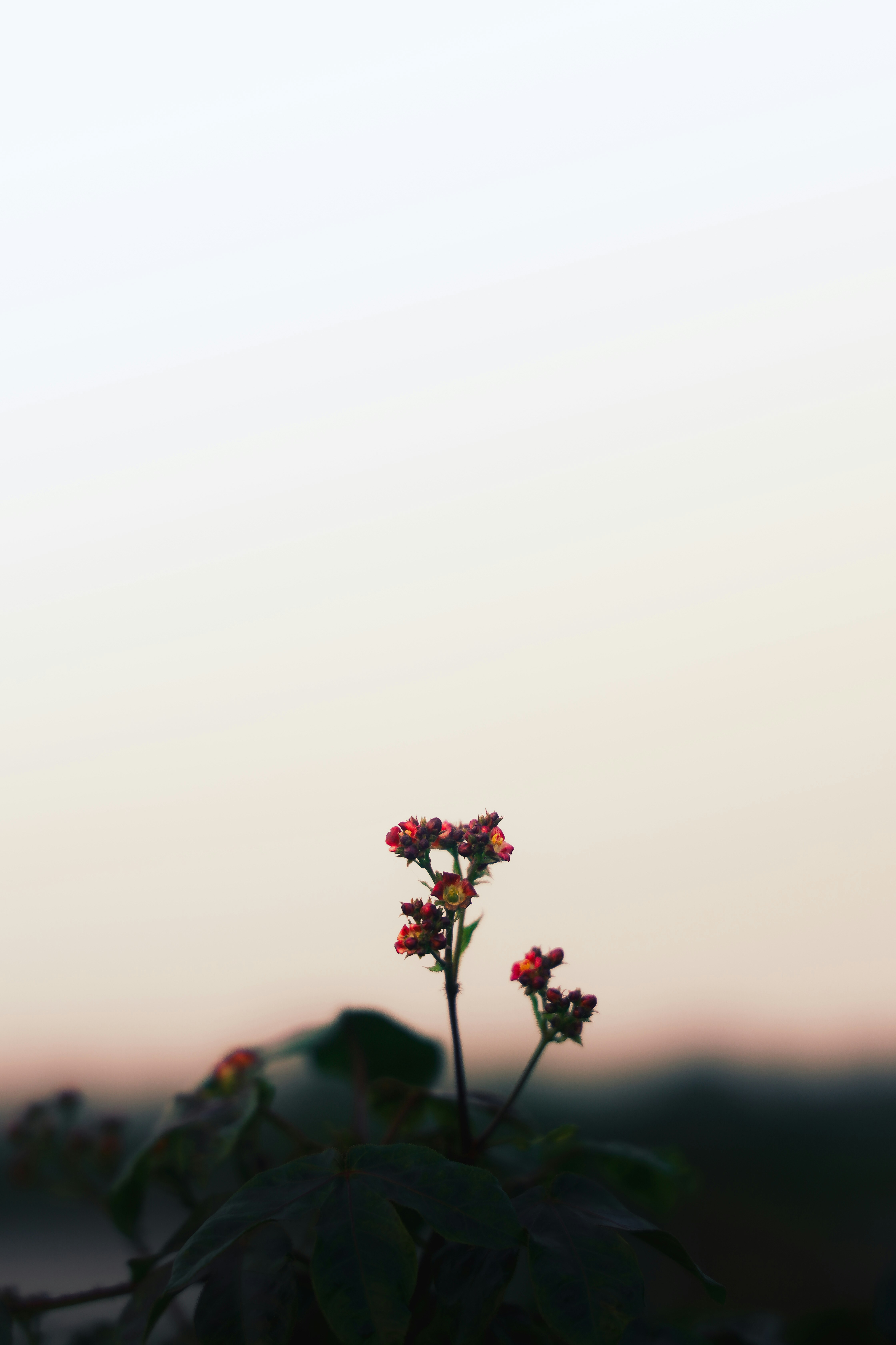 Photo by its_since1997