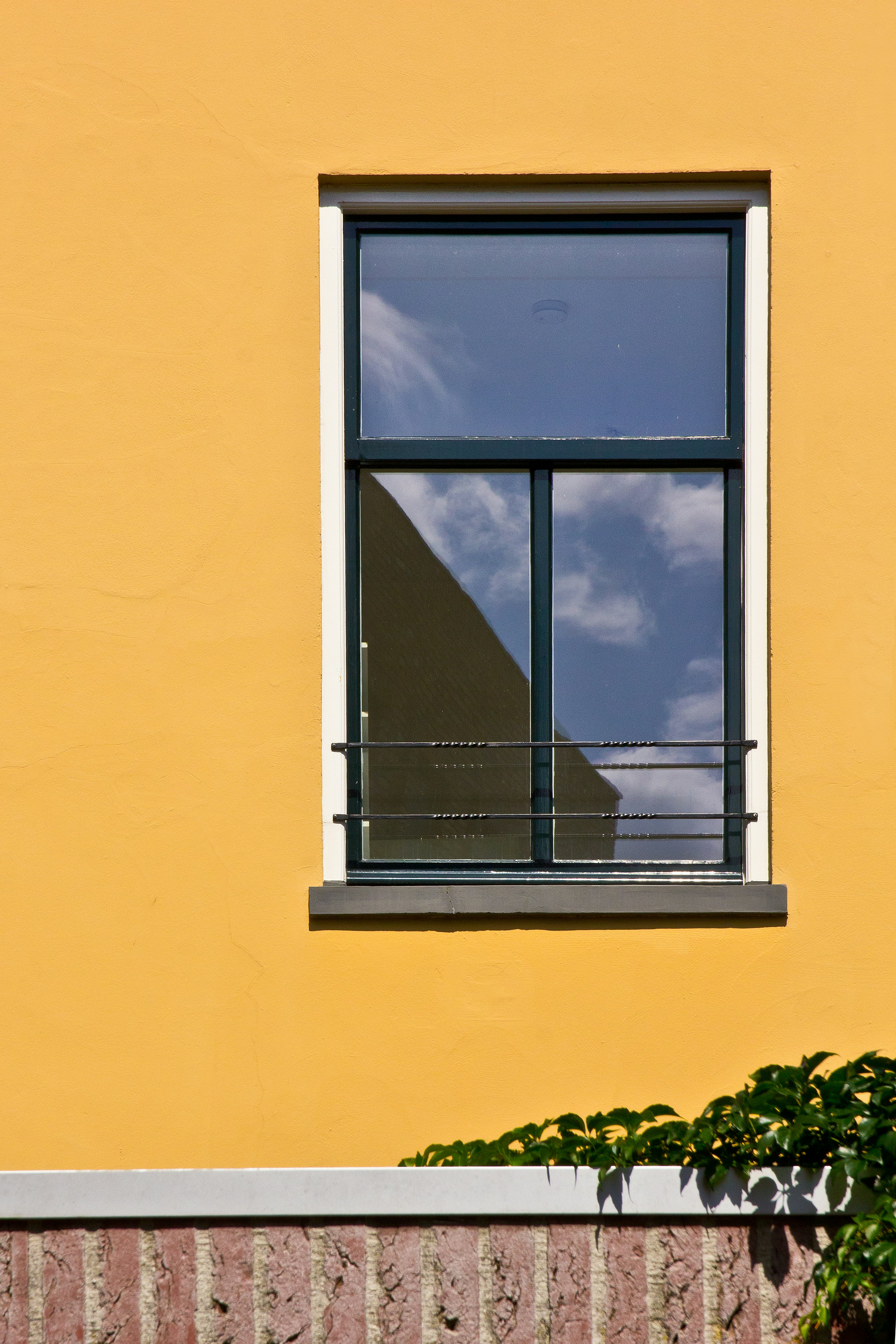 Photo by conniedevries