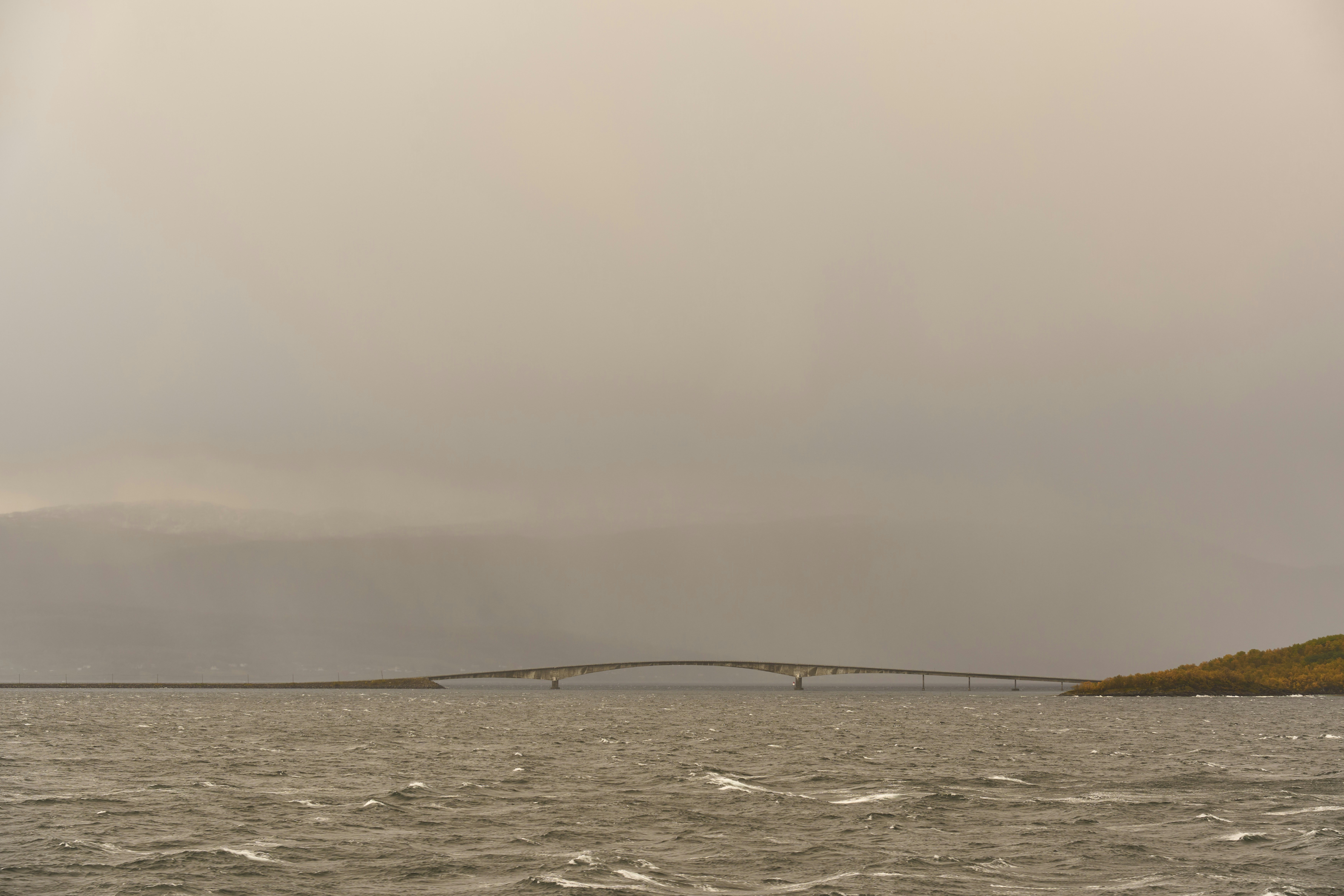 Photo by wolfgang_hasselmann