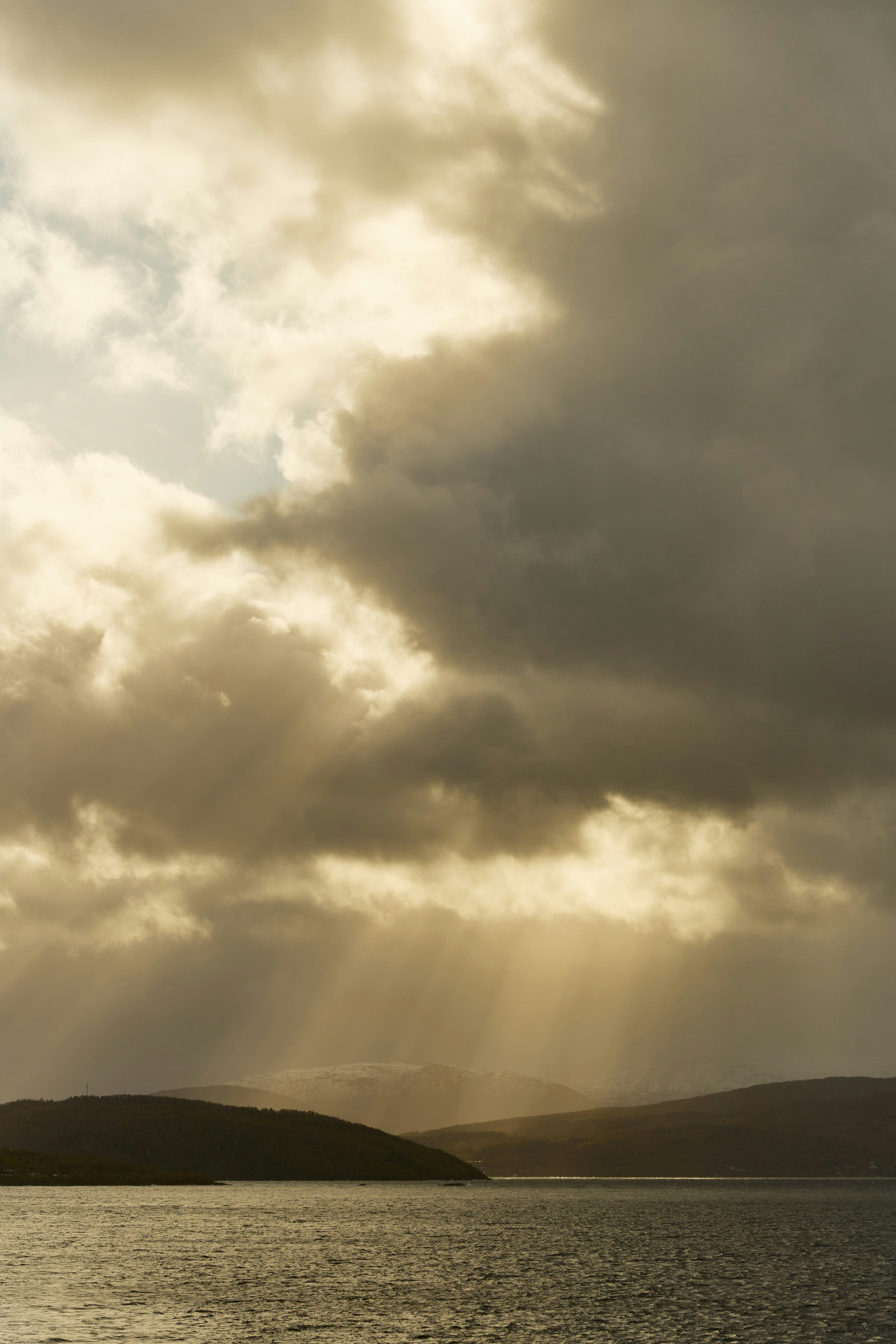 Photo by wolfgang_hasselmann