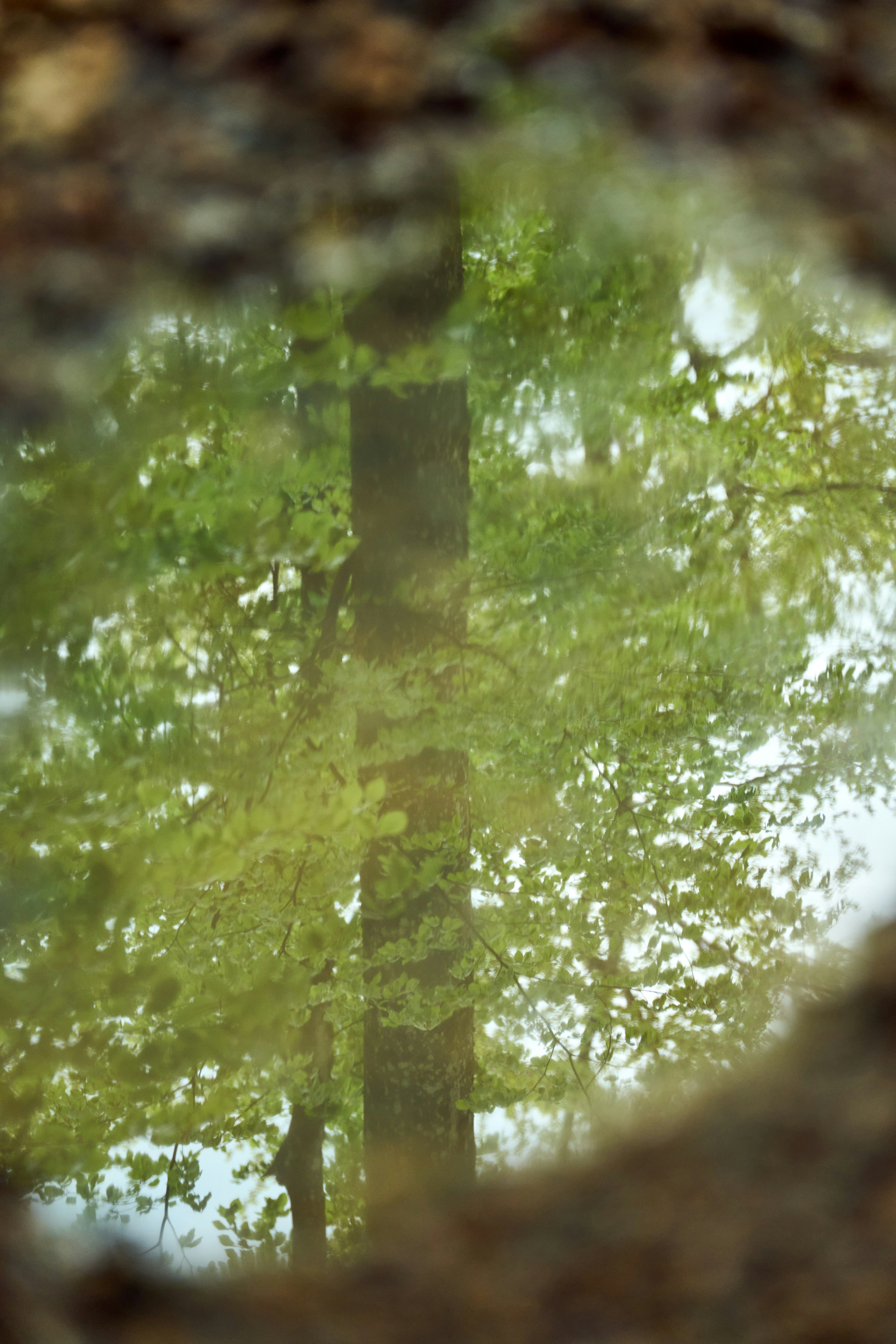 Photo by wolfgang_hasselmann