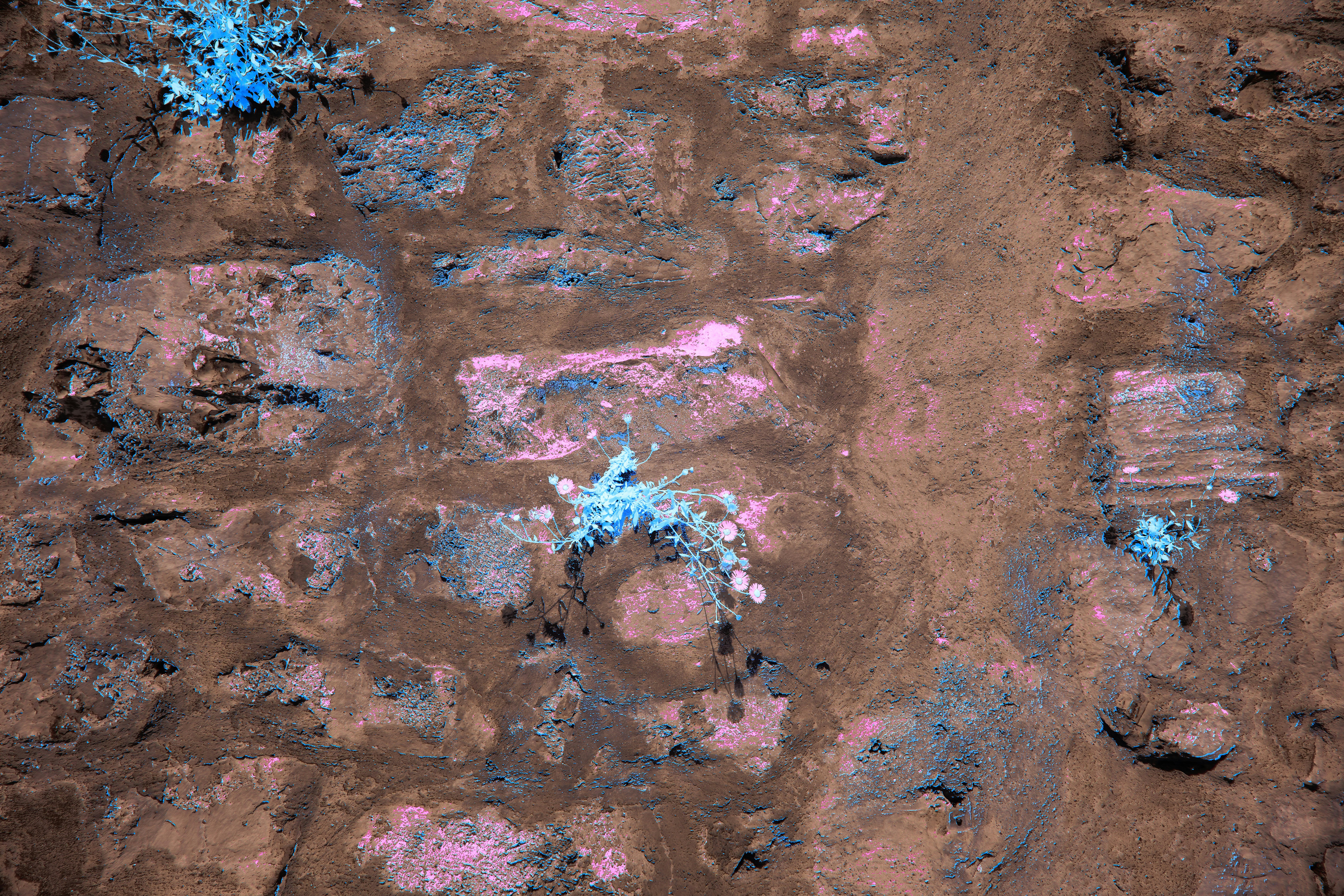 Photo by wolfgang_hasselmann