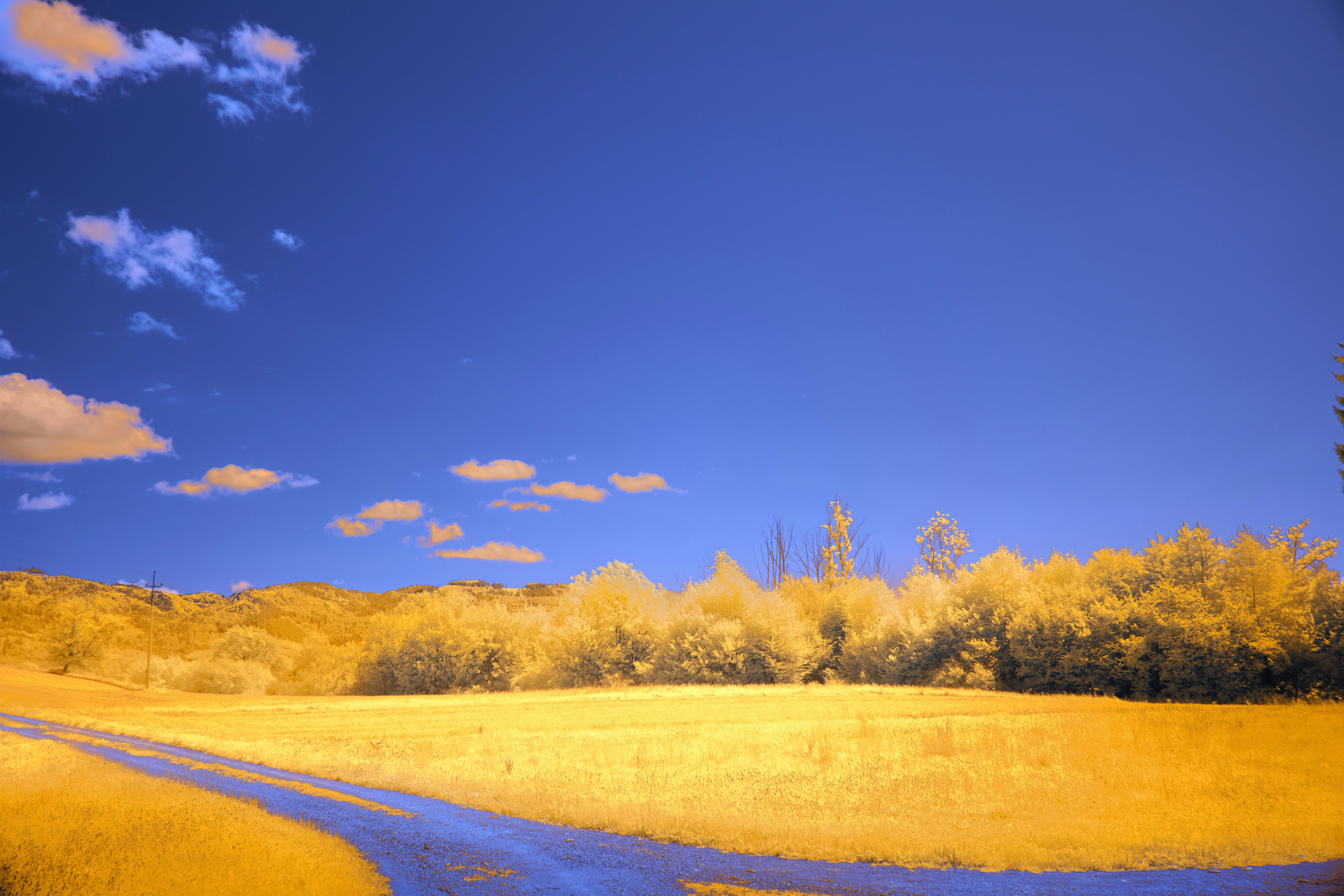 Photo by wolfgang_hasselmann