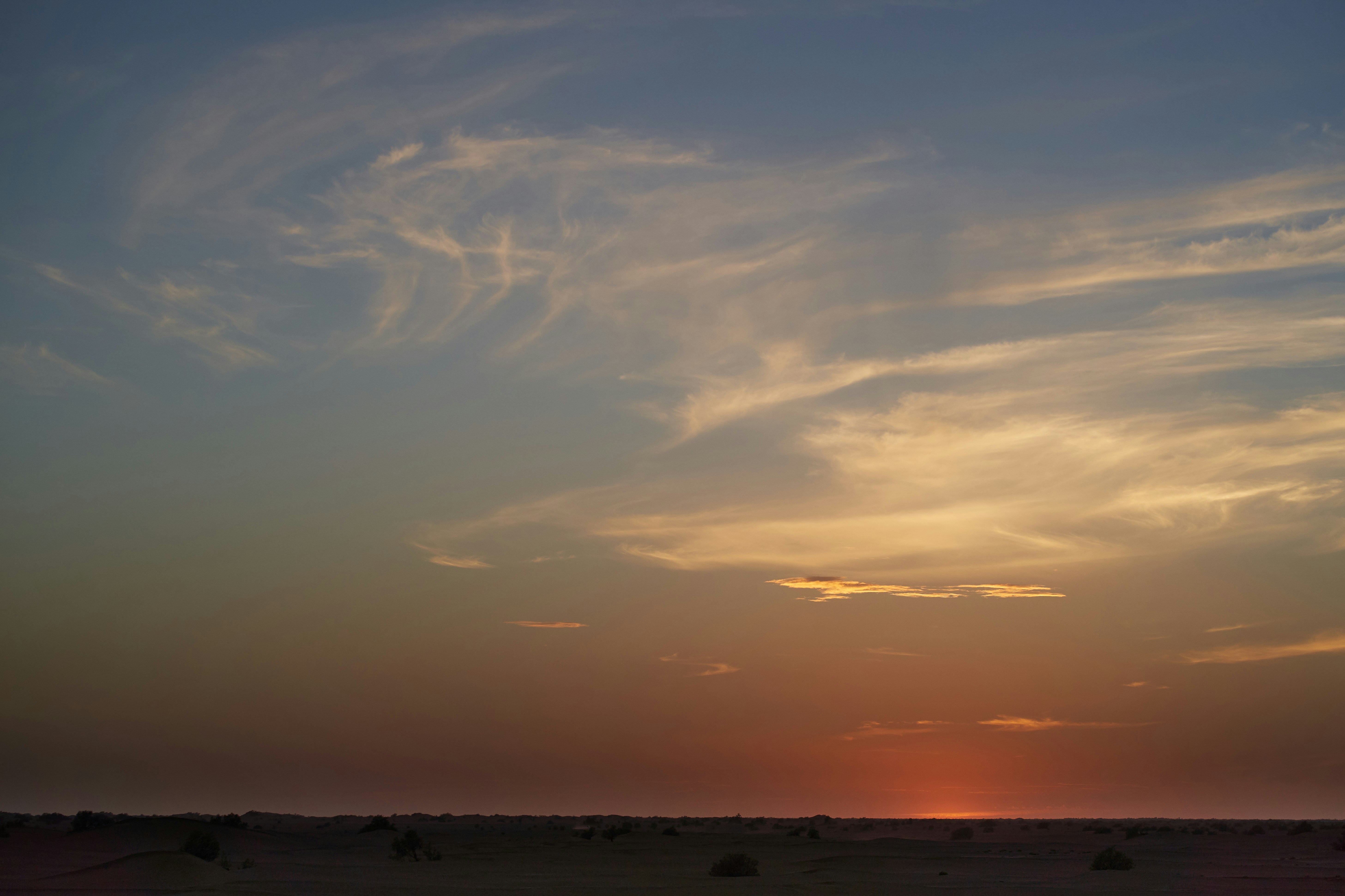 Photo by wolfgang_hasselmann