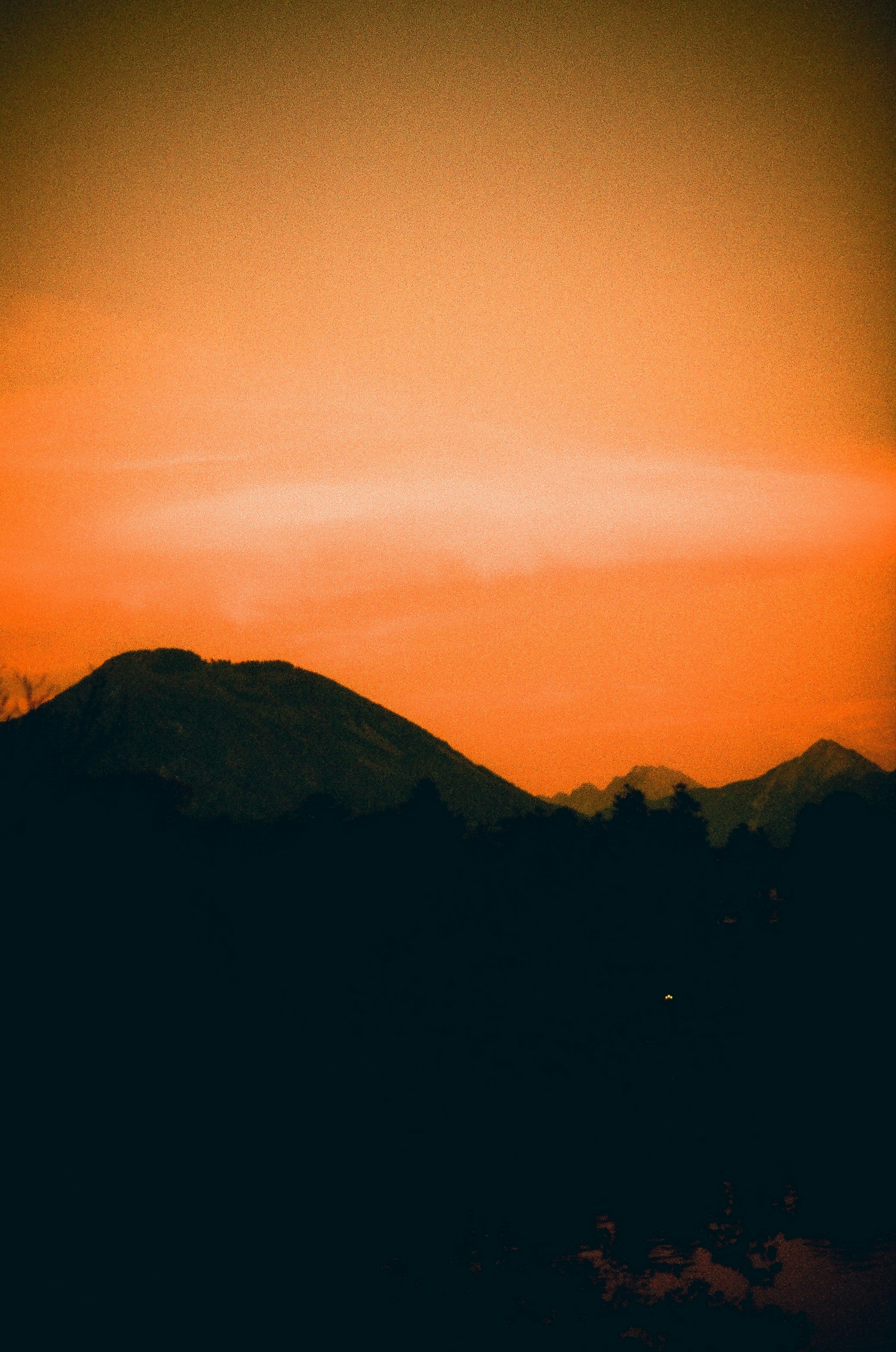 Photo by stachmann