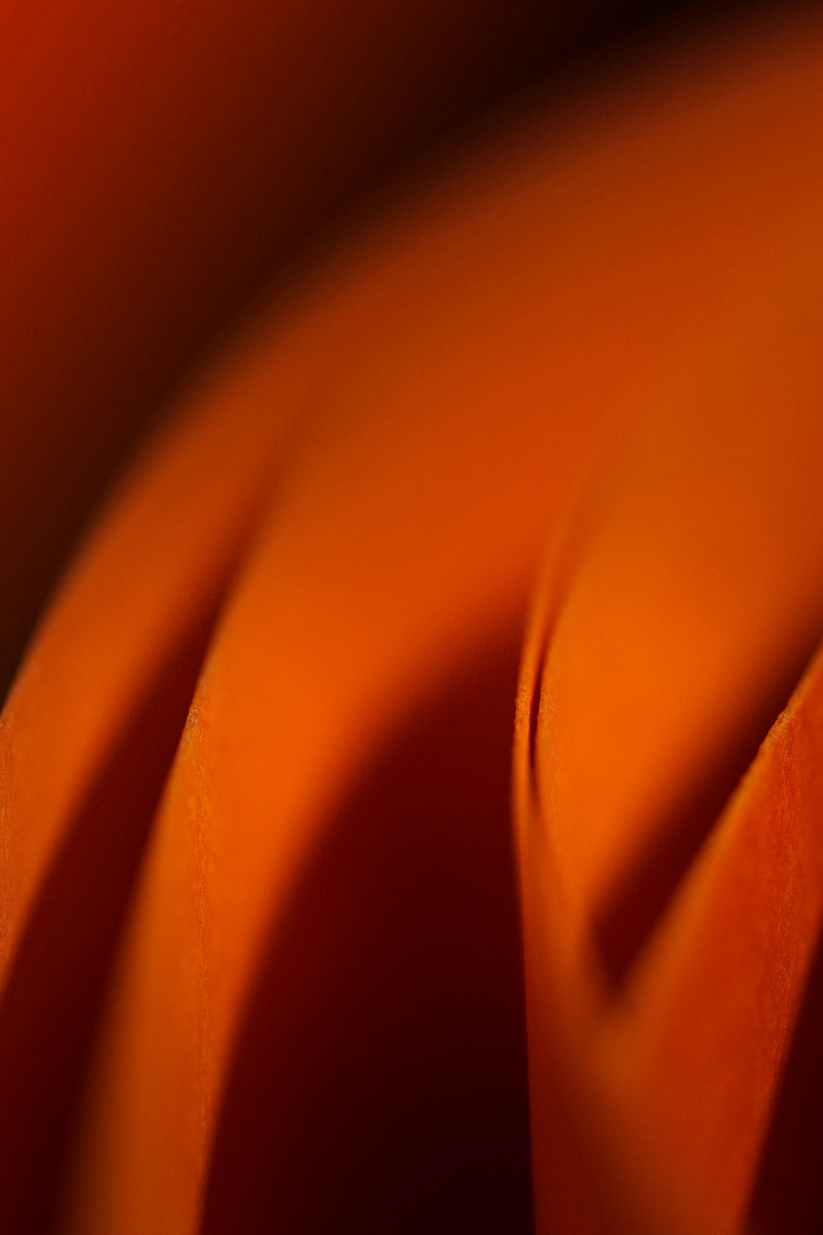 Photo by jakubzerdzicki