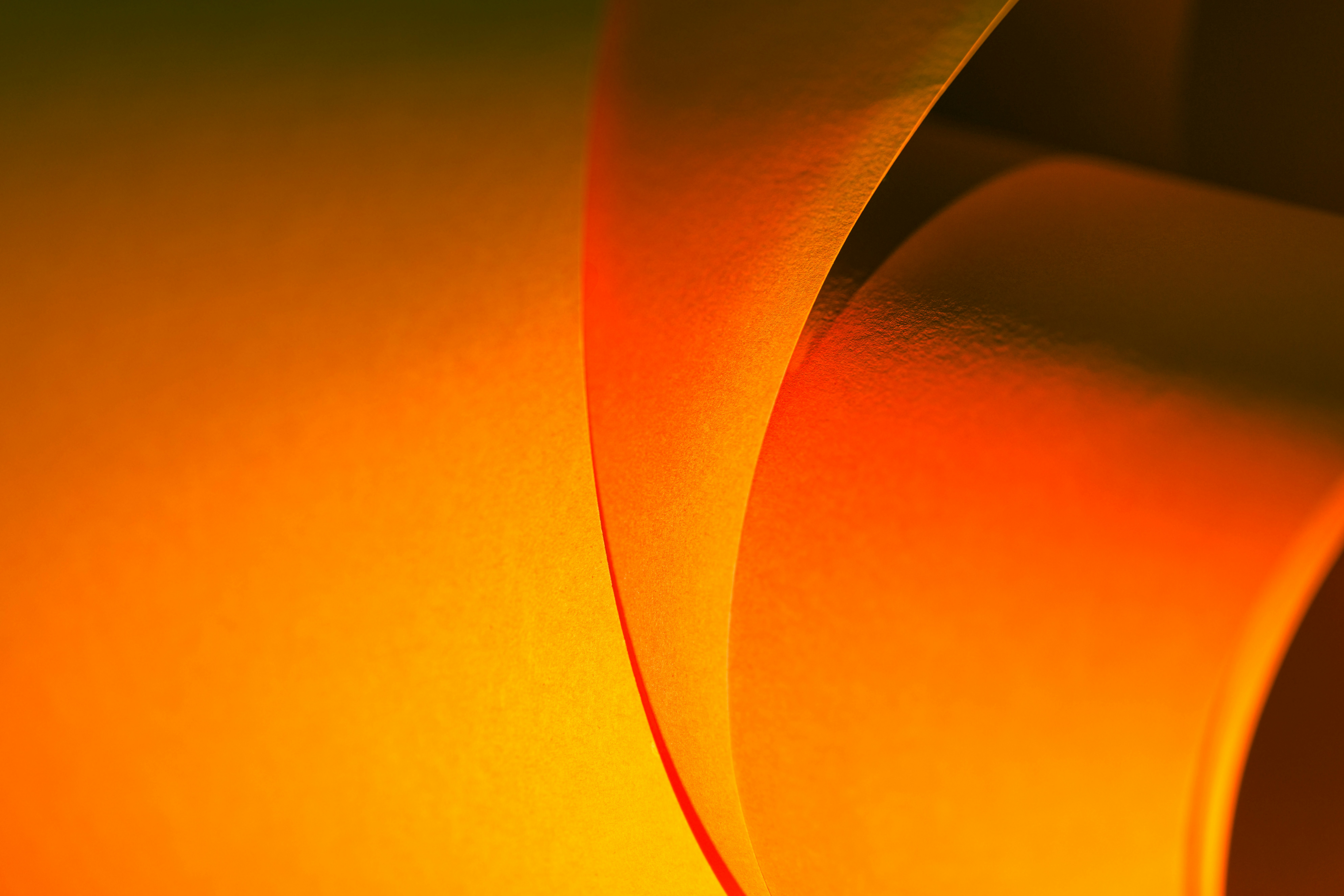 Photo by jakubzerdzicki