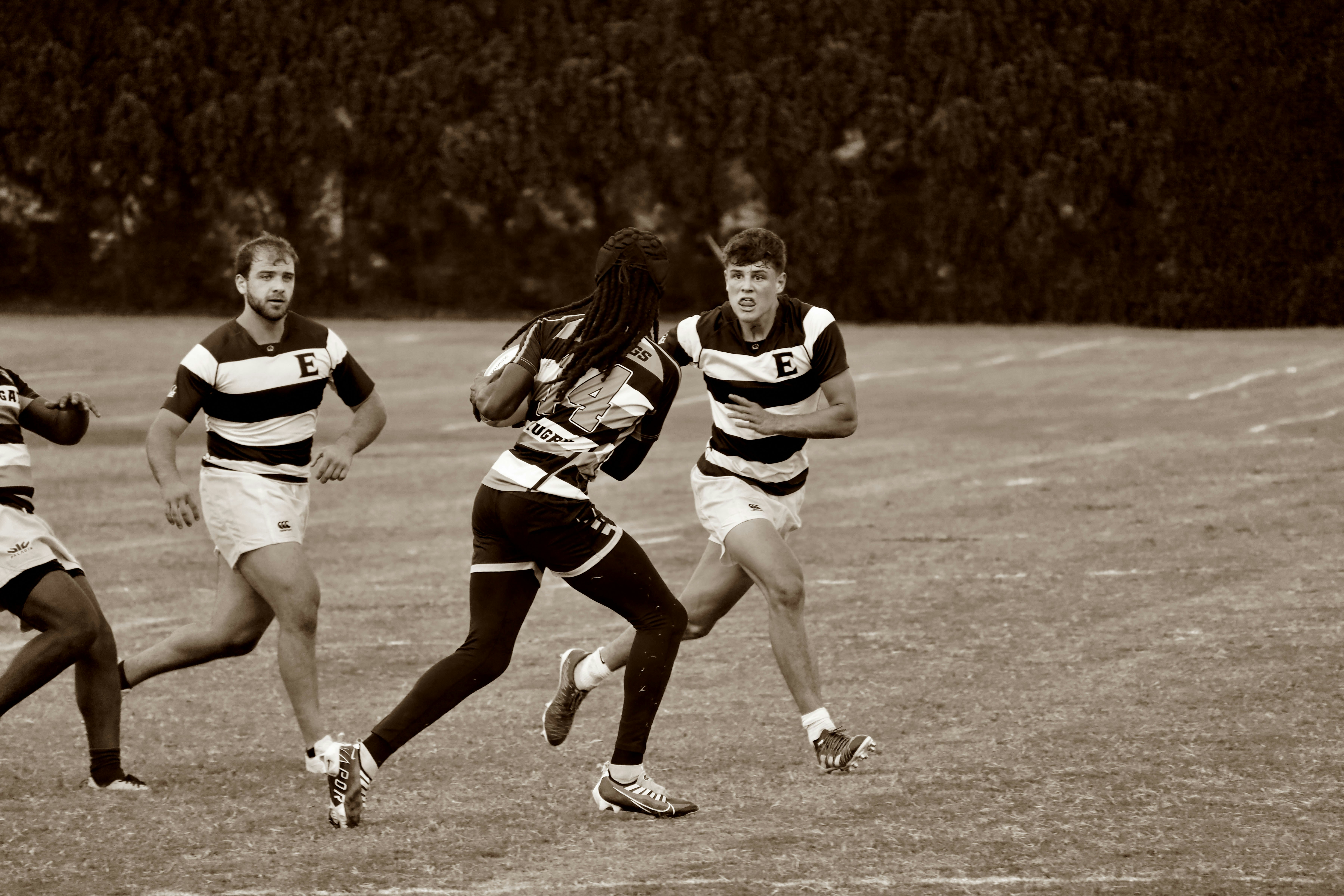 Could Elon Musk Be the Next Owner of TikTok US?