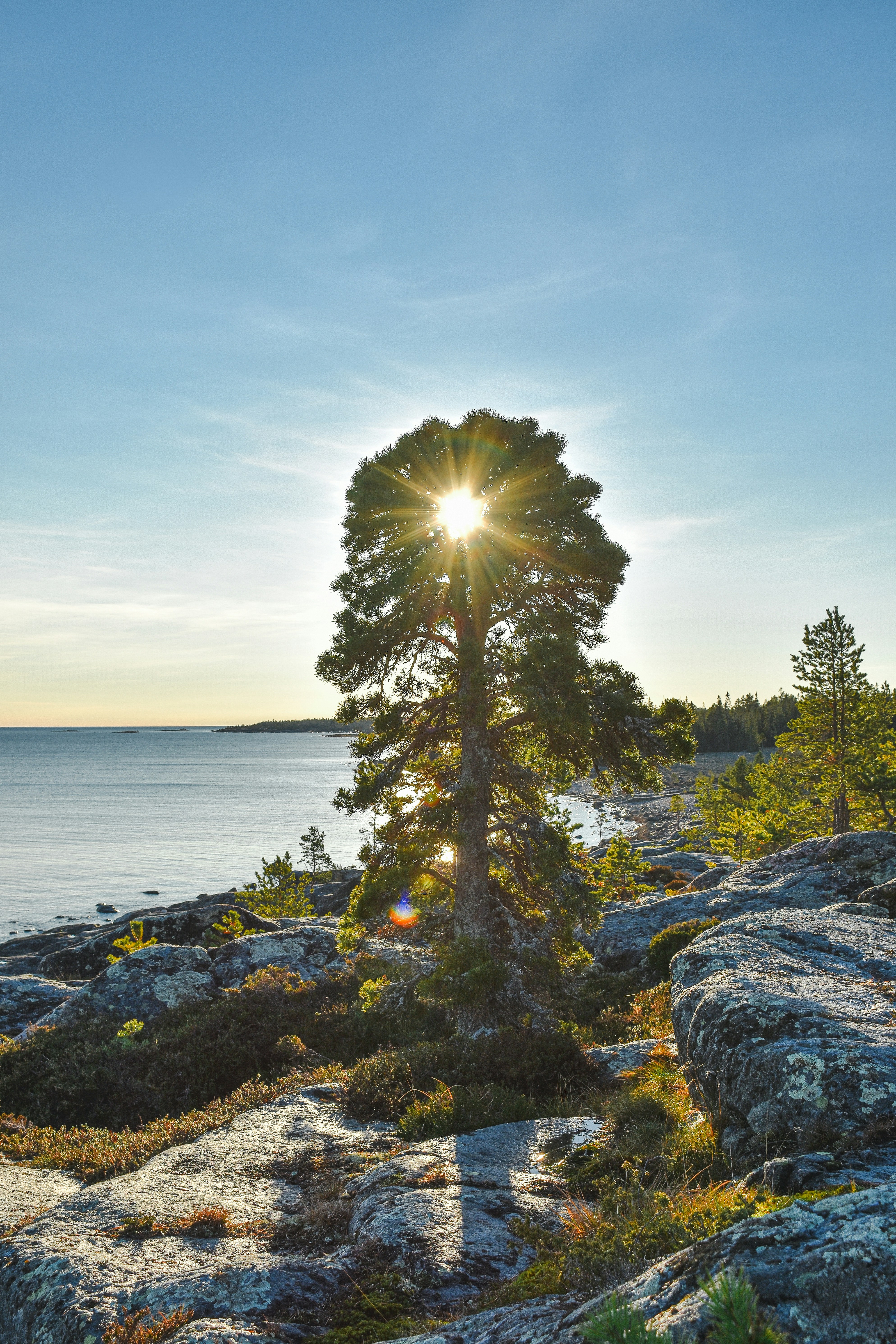 Photo by niklasjonasson