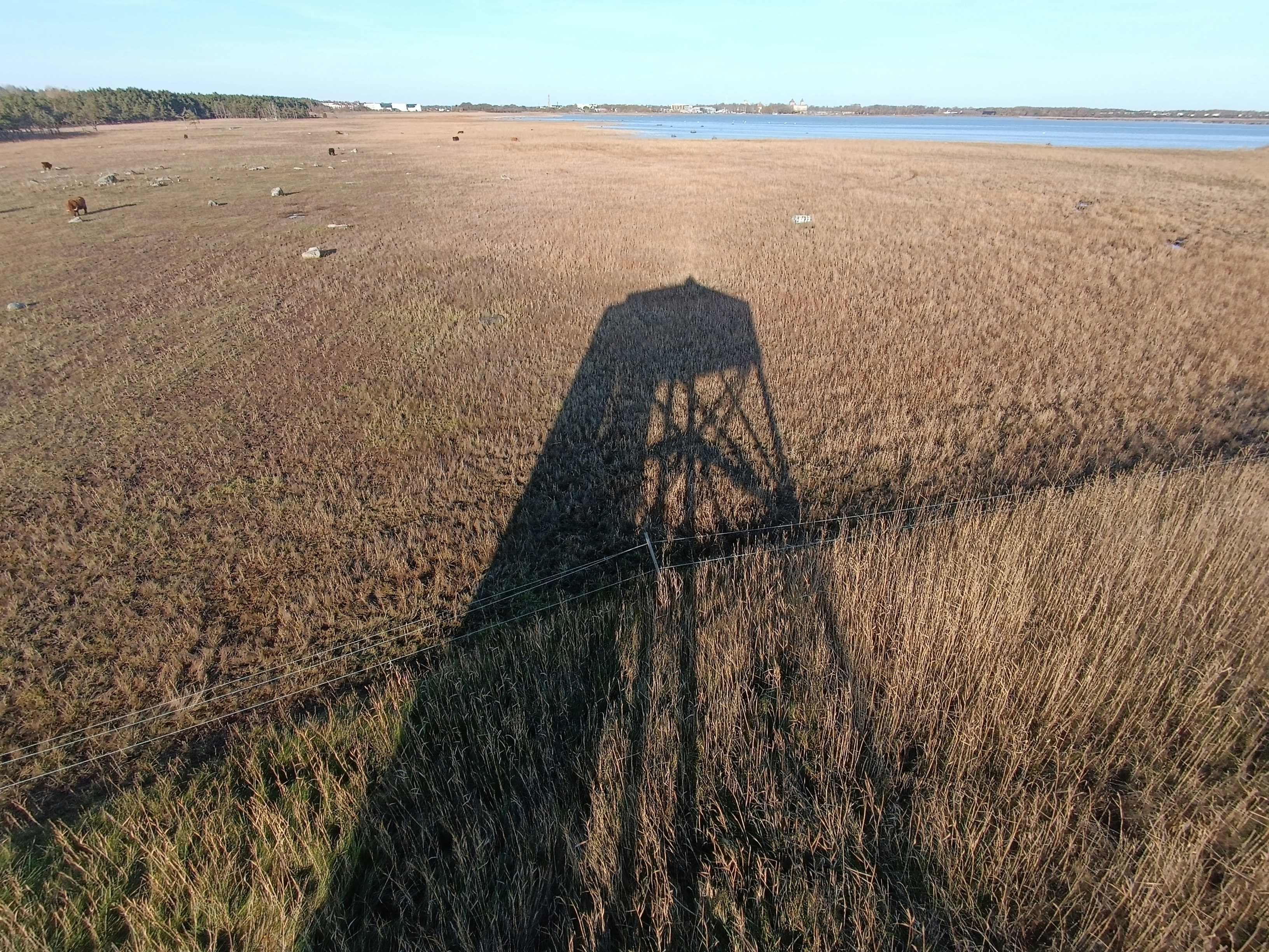 Kuressaare – Budgeting & Cost Expectations