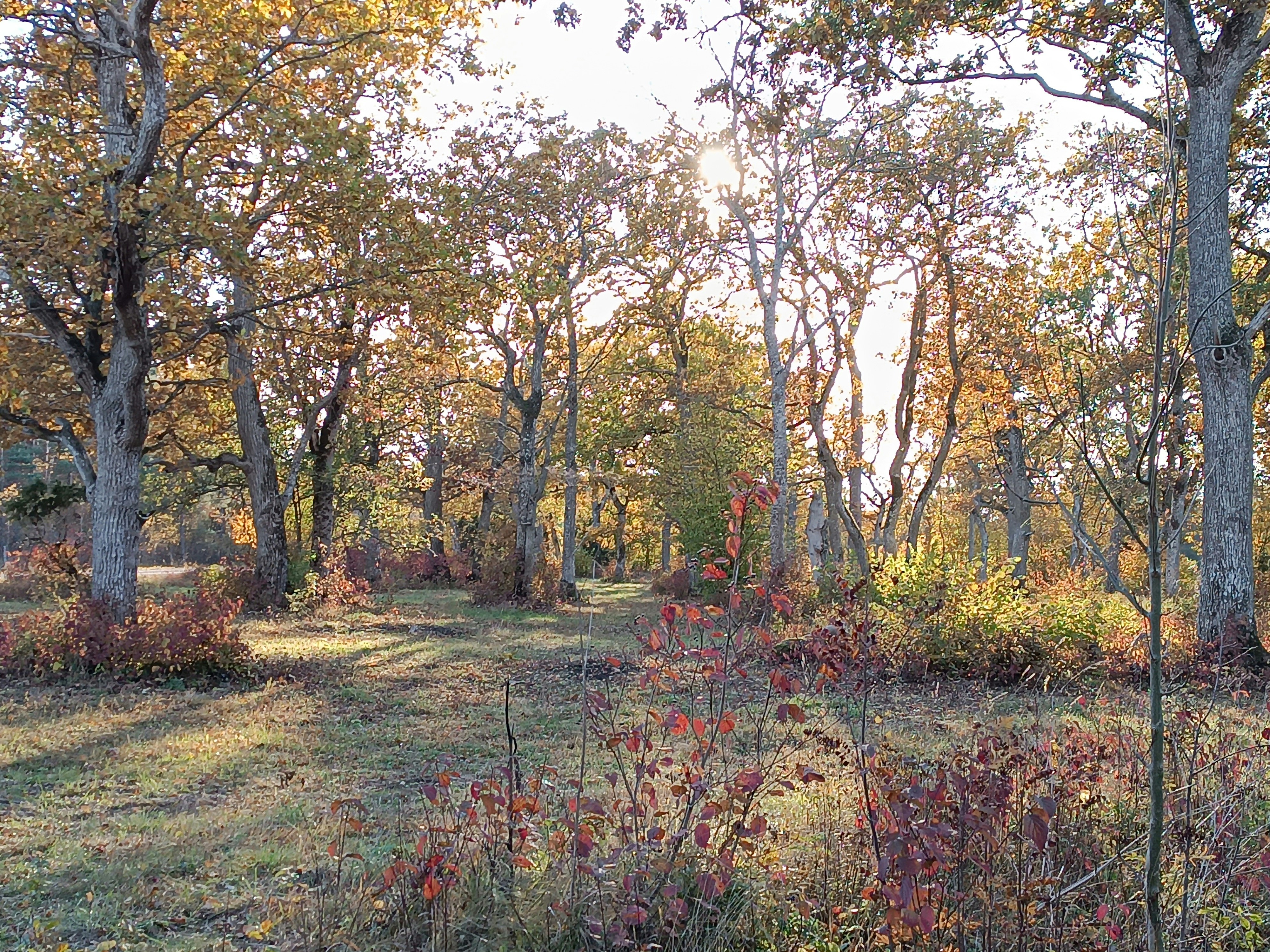 Photo by oxganggreen