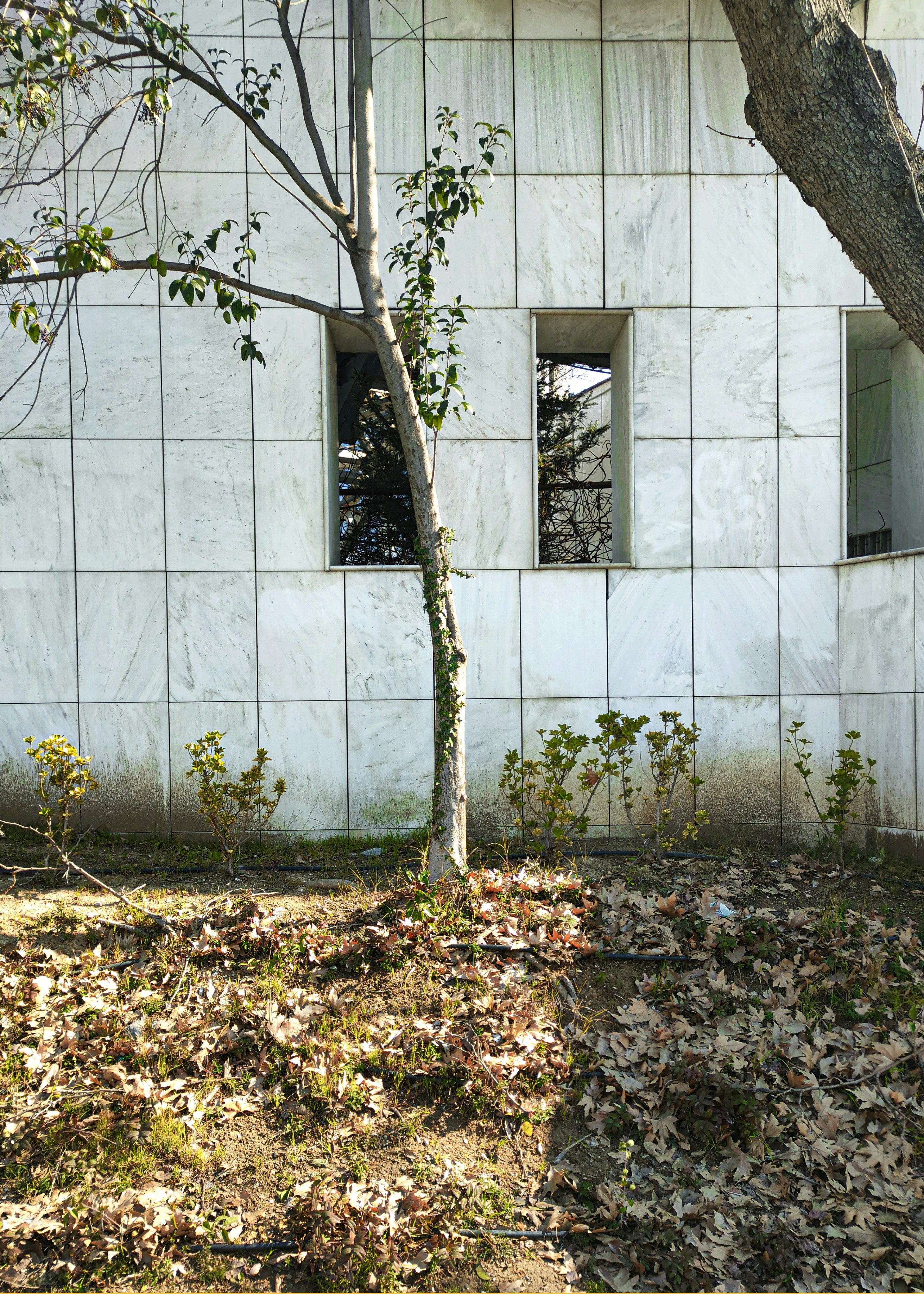 Photo by christine_v