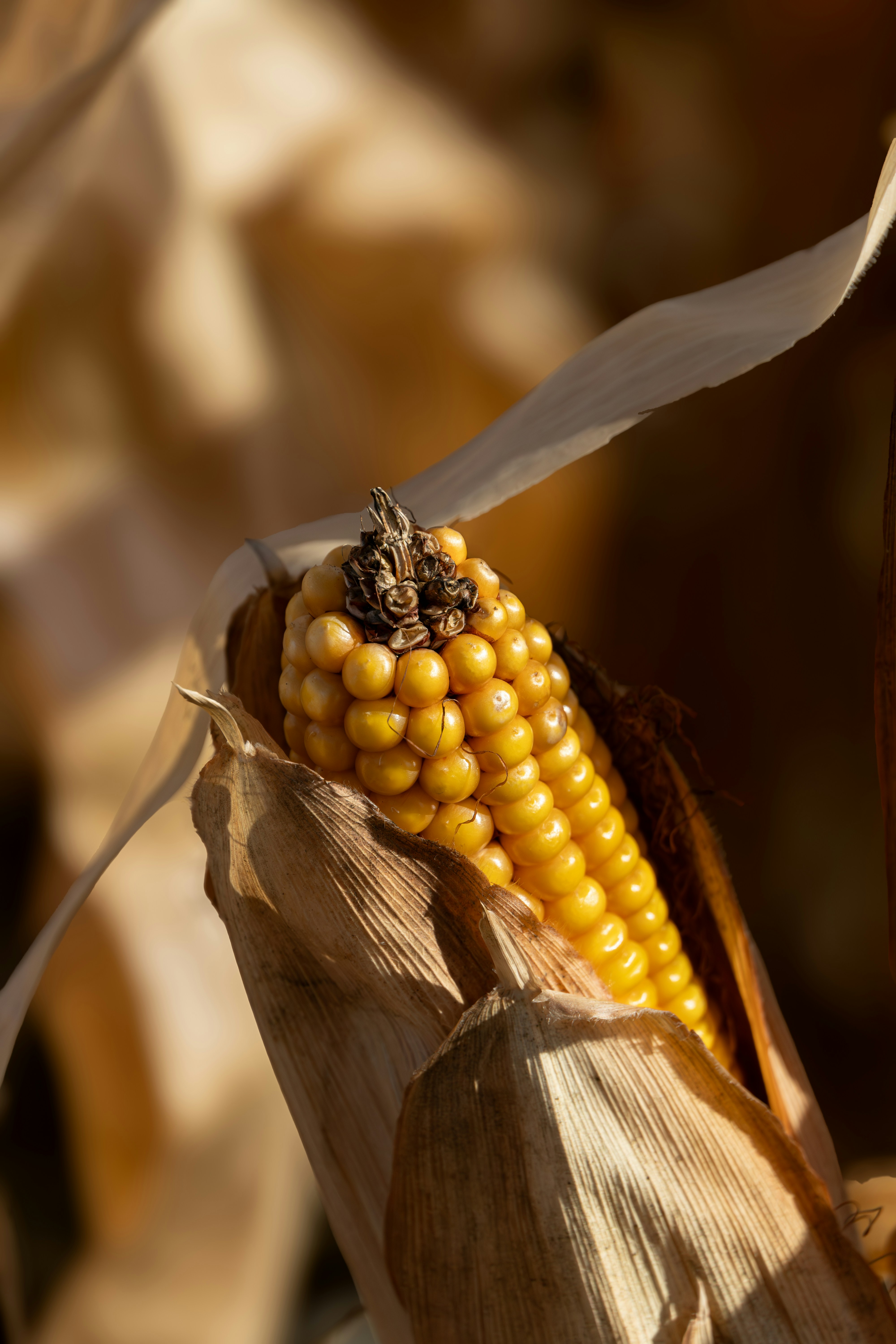 Photo by tog_photography