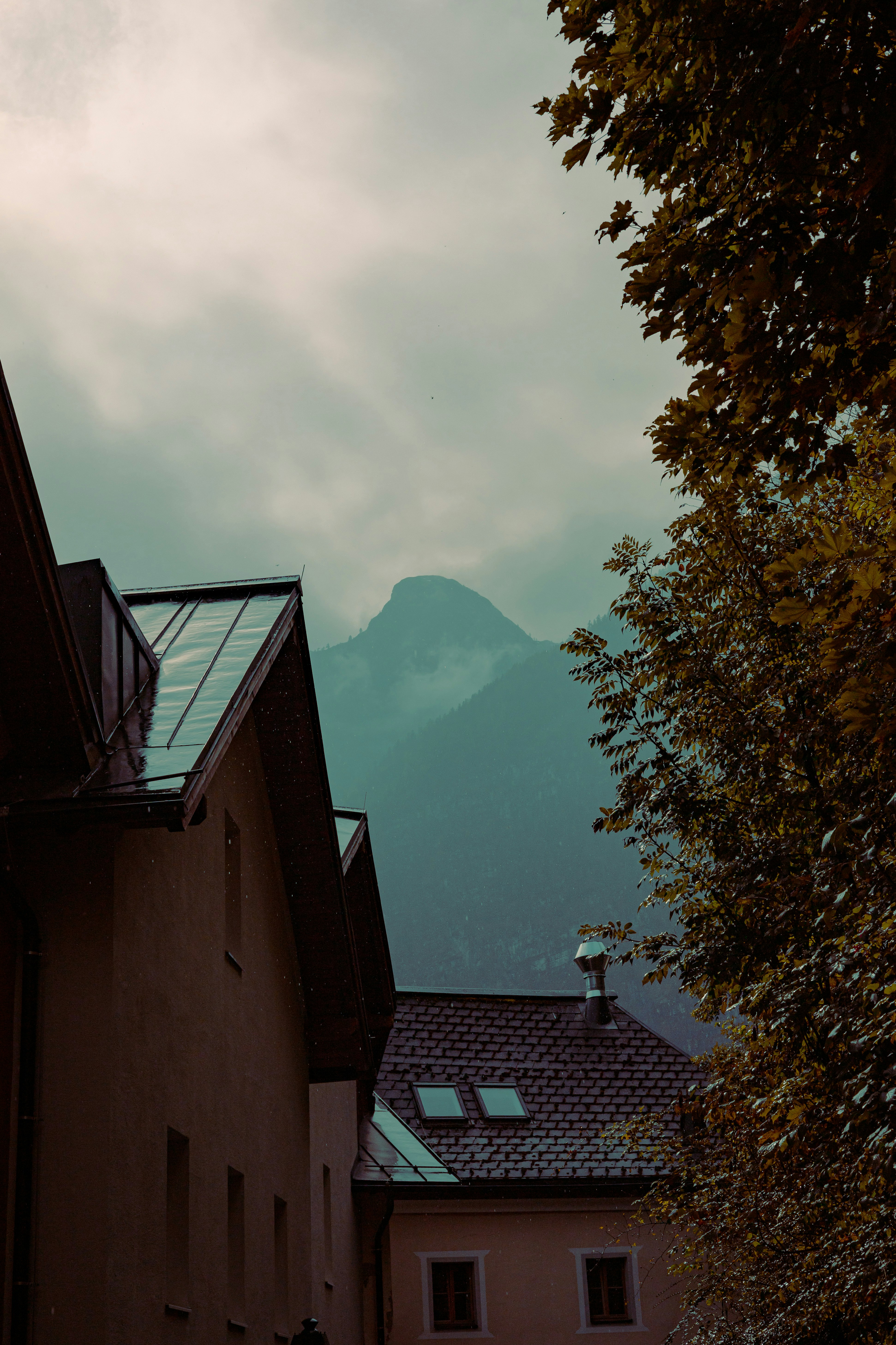 Photo by feiler