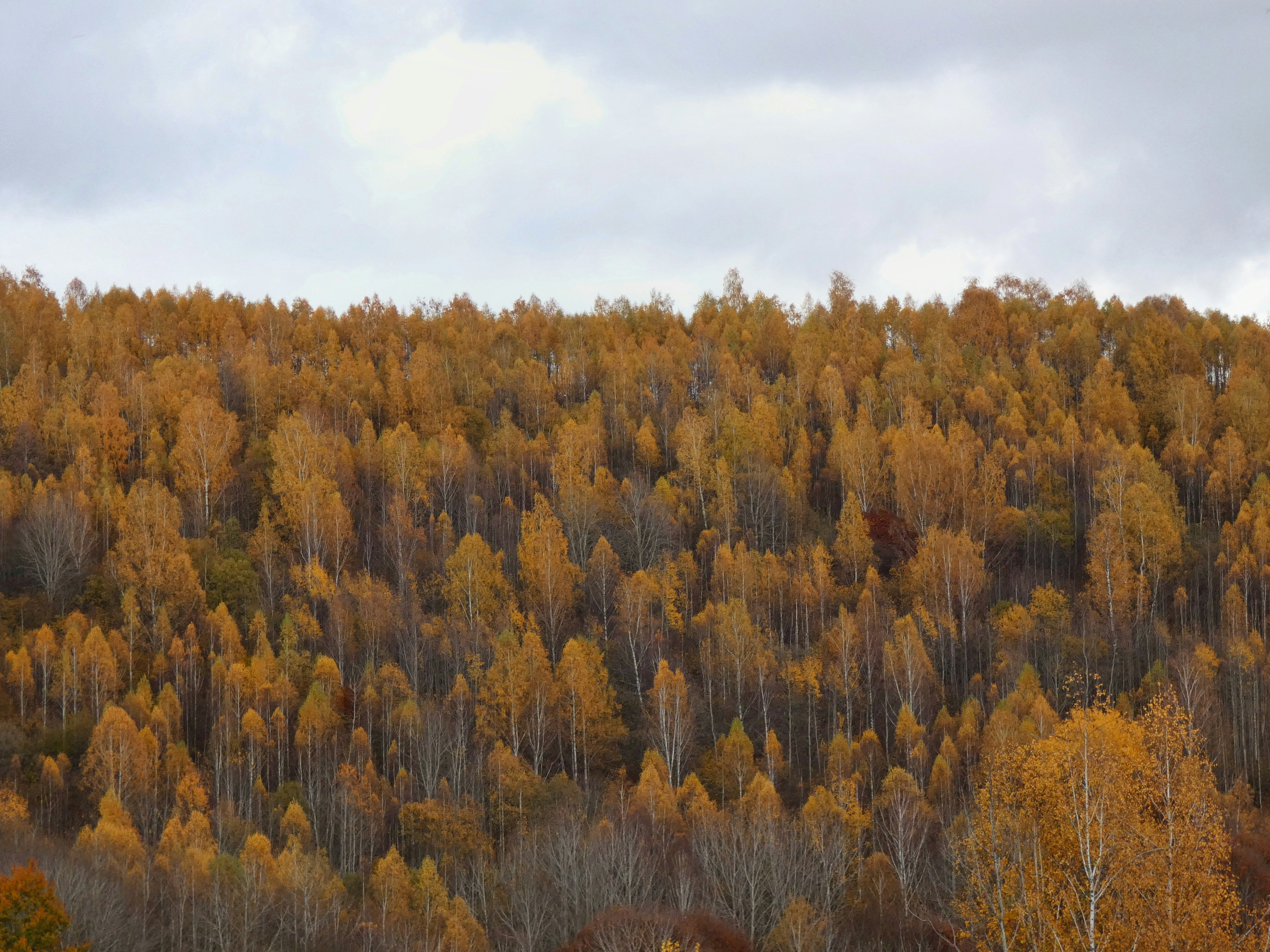 Photo by razvan_trif