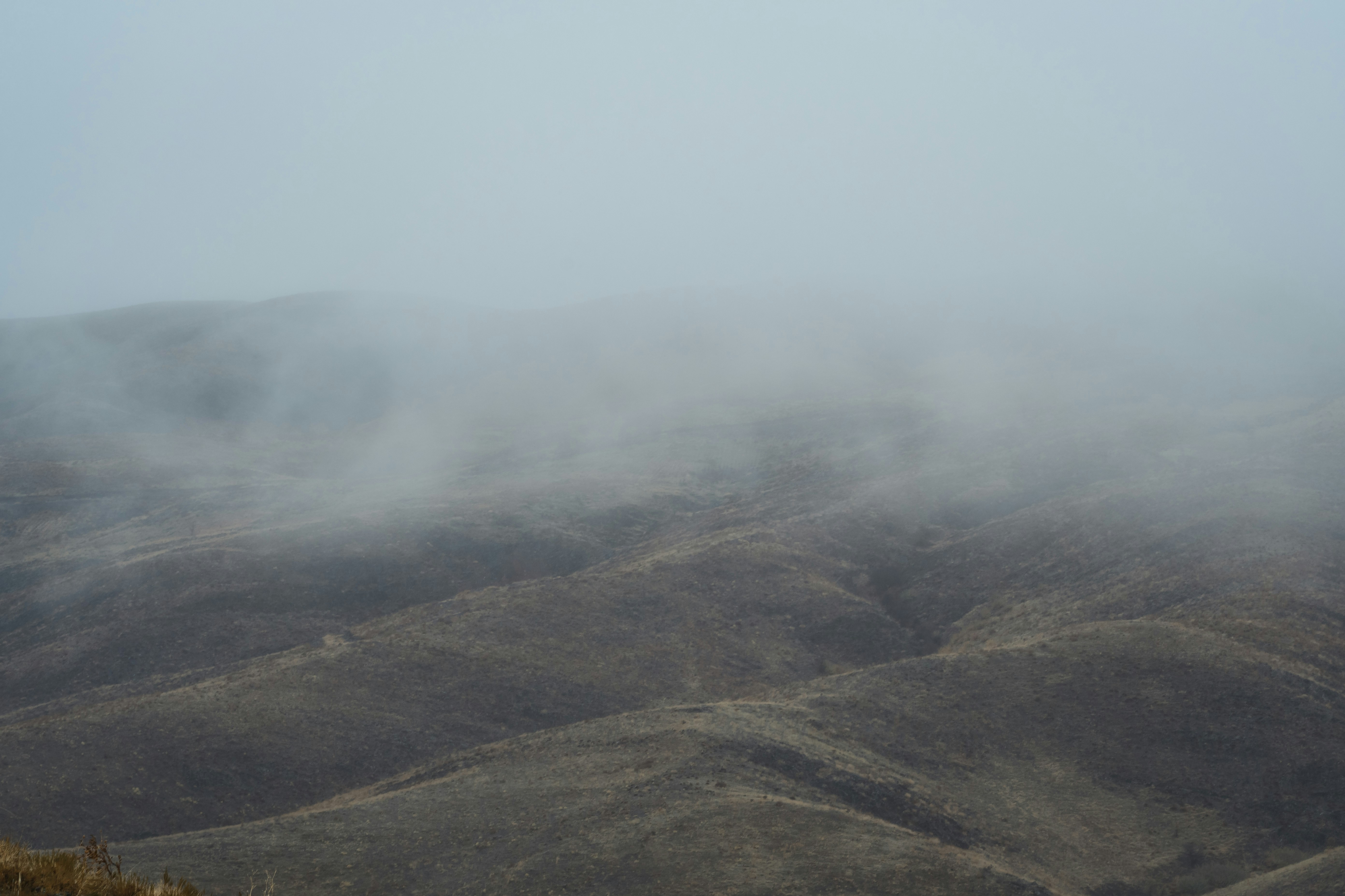 Photo by s_ahmadreza_p