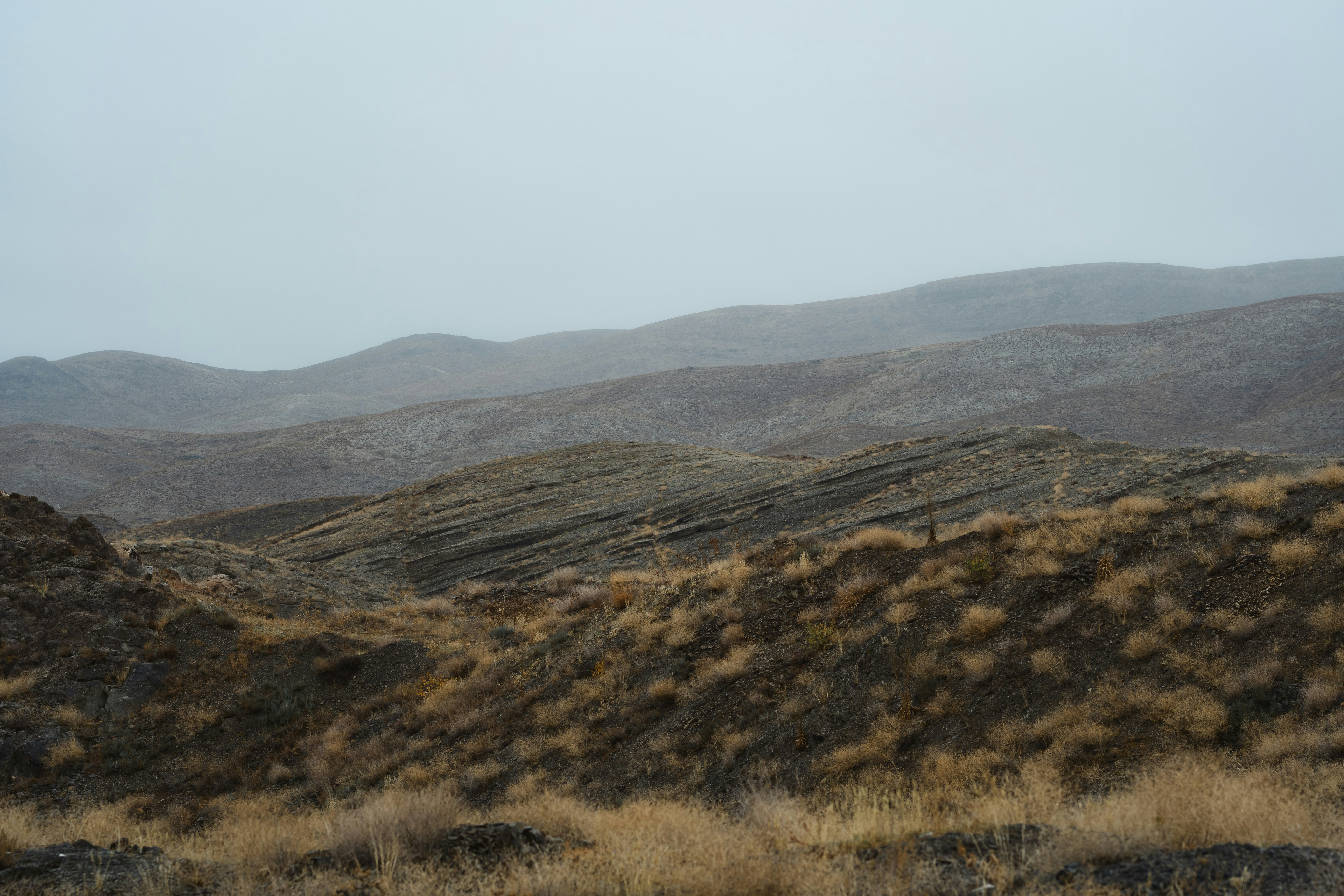 Photo by s_ahmadreza_p