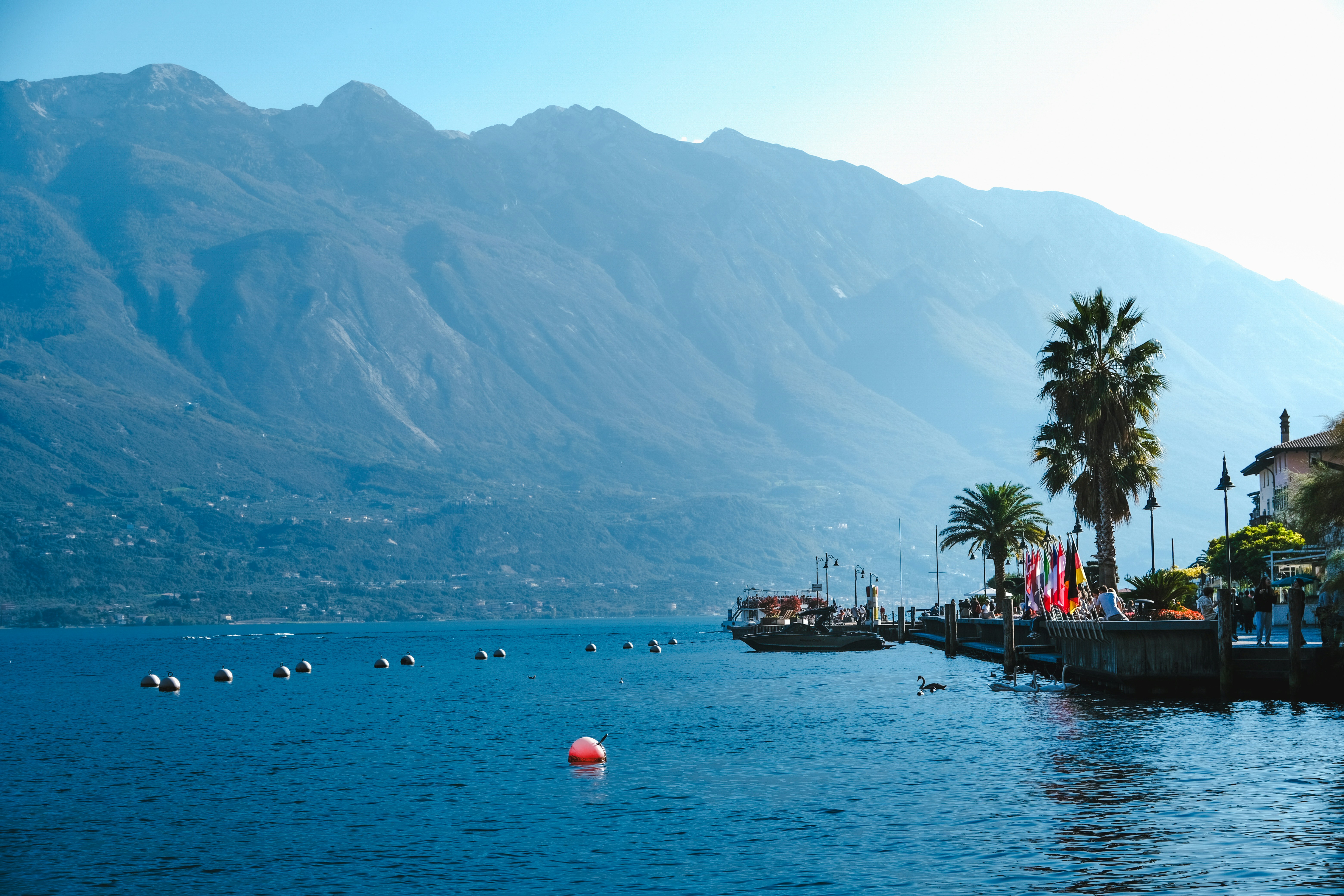 Photo by denisaficau