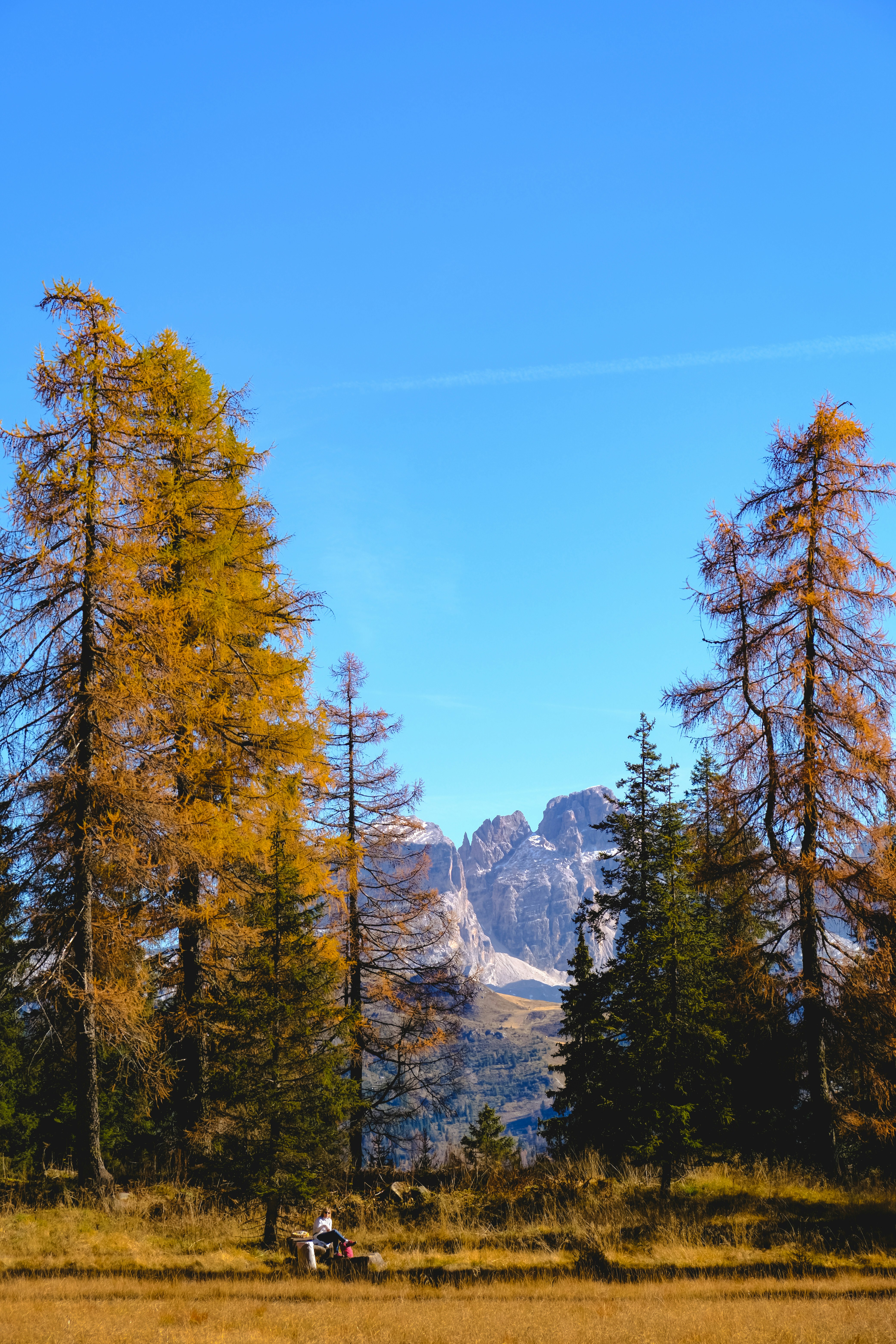 Photo by denisaficau