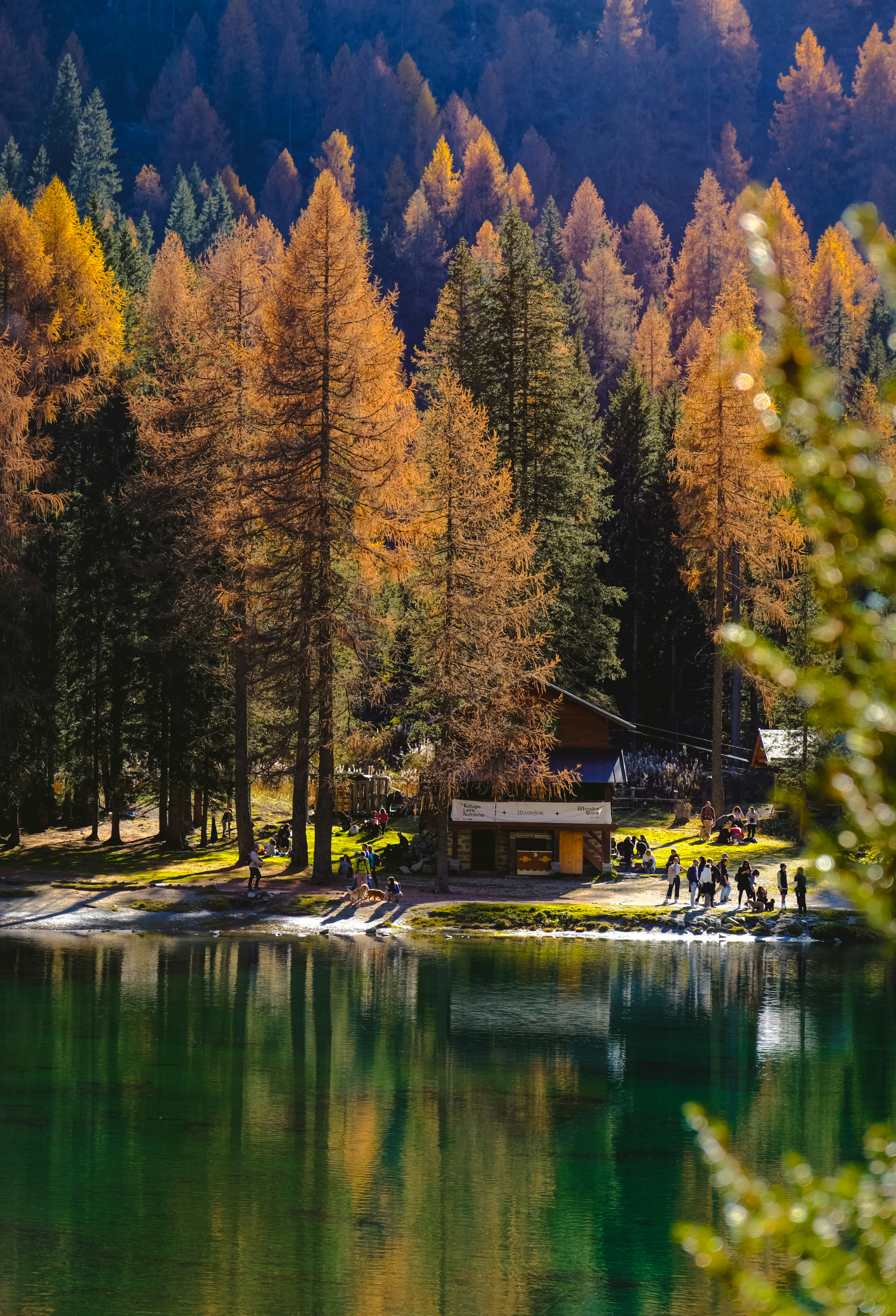 Photo by denisaficau