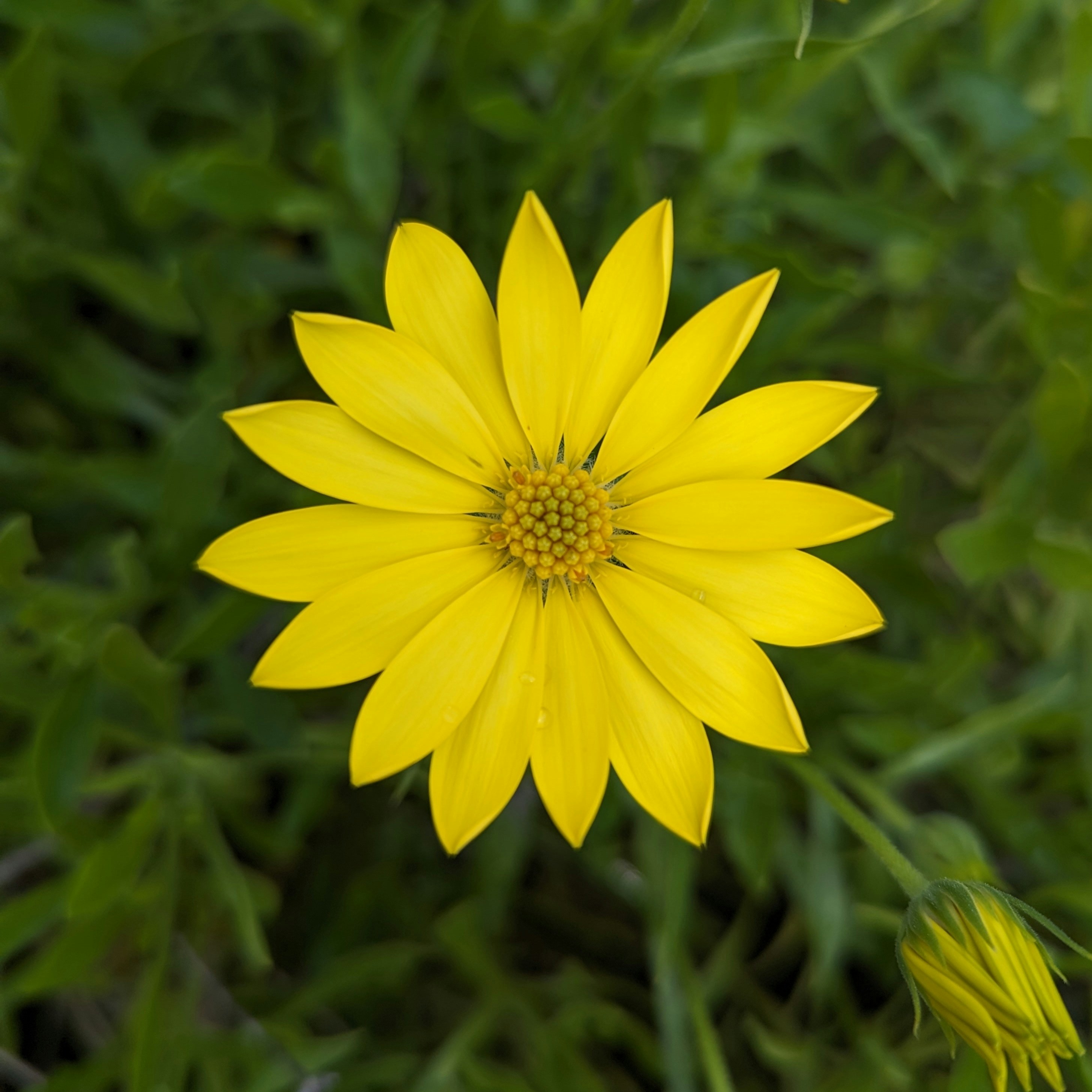 Photo by desphotography