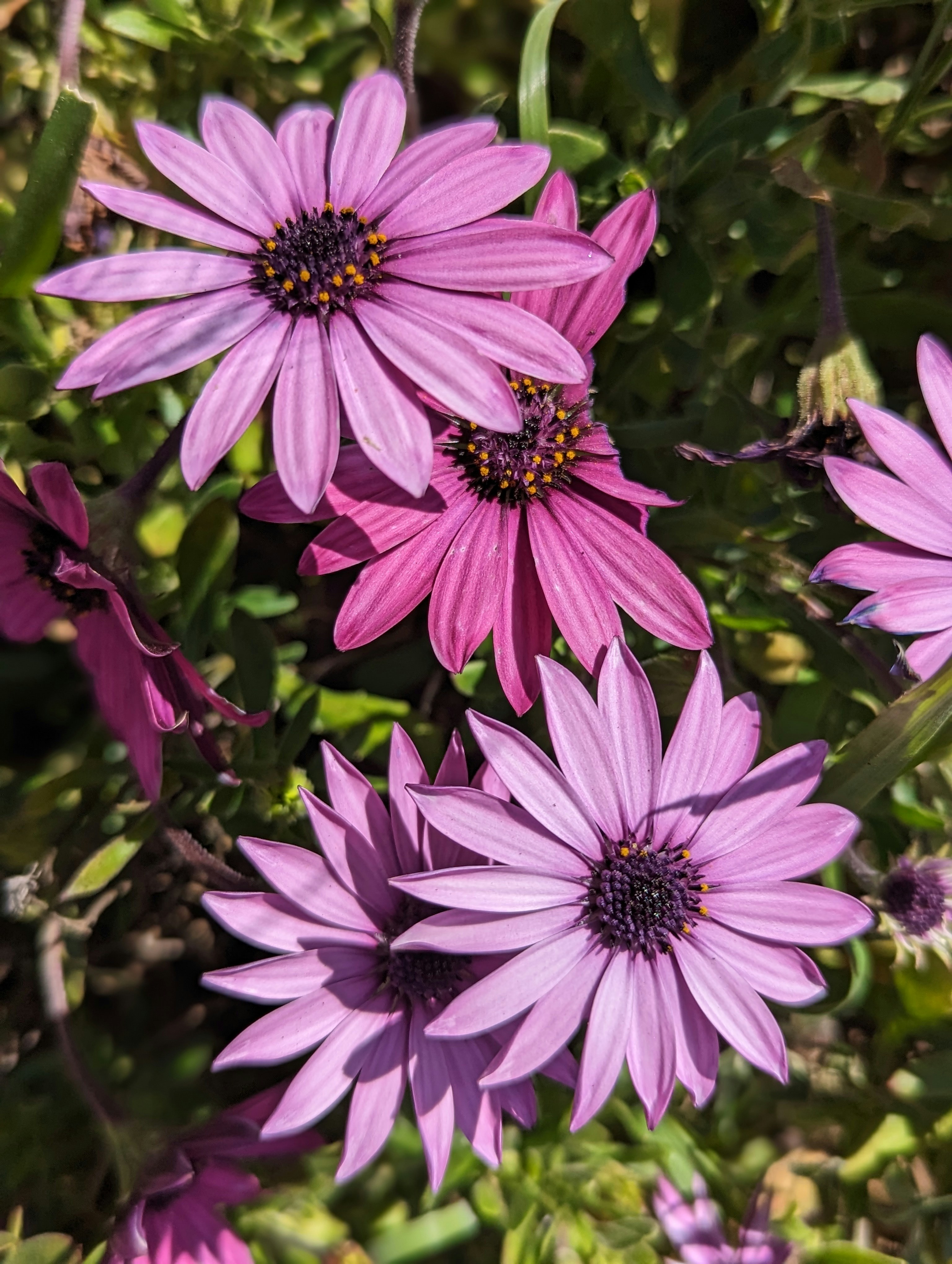 Photo by desphotography