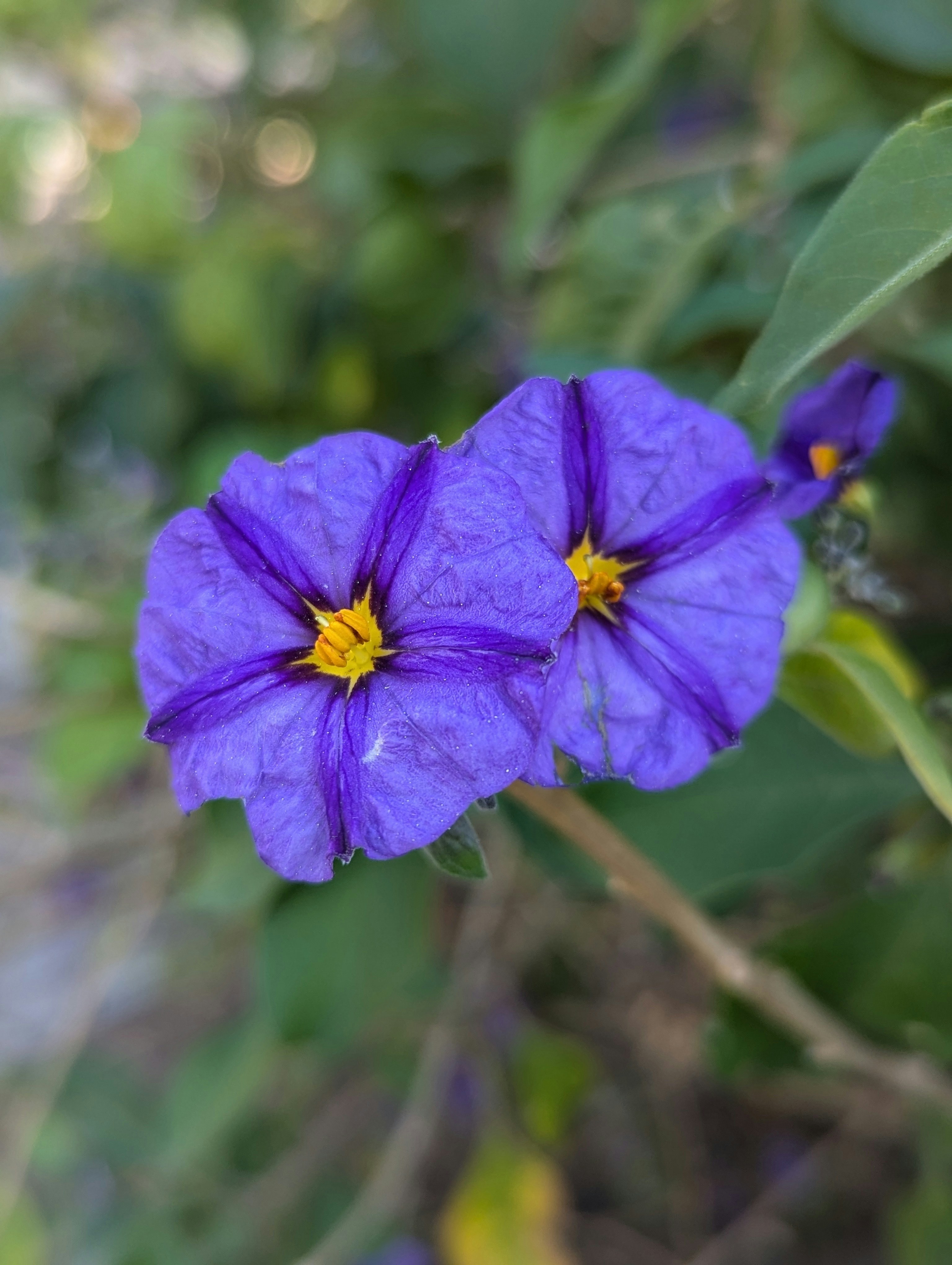 Photo by desphotography