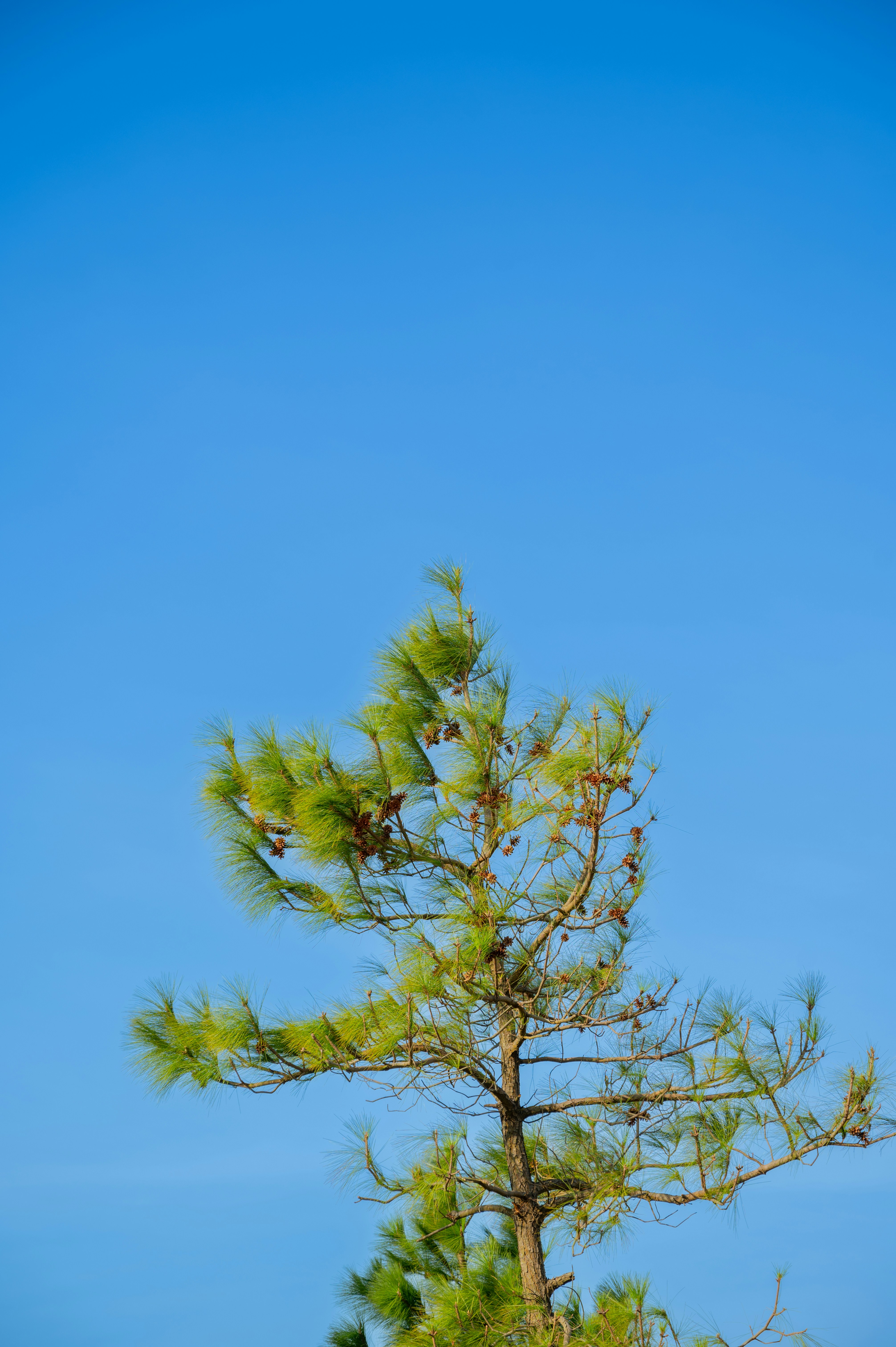 Photo by manhterry93