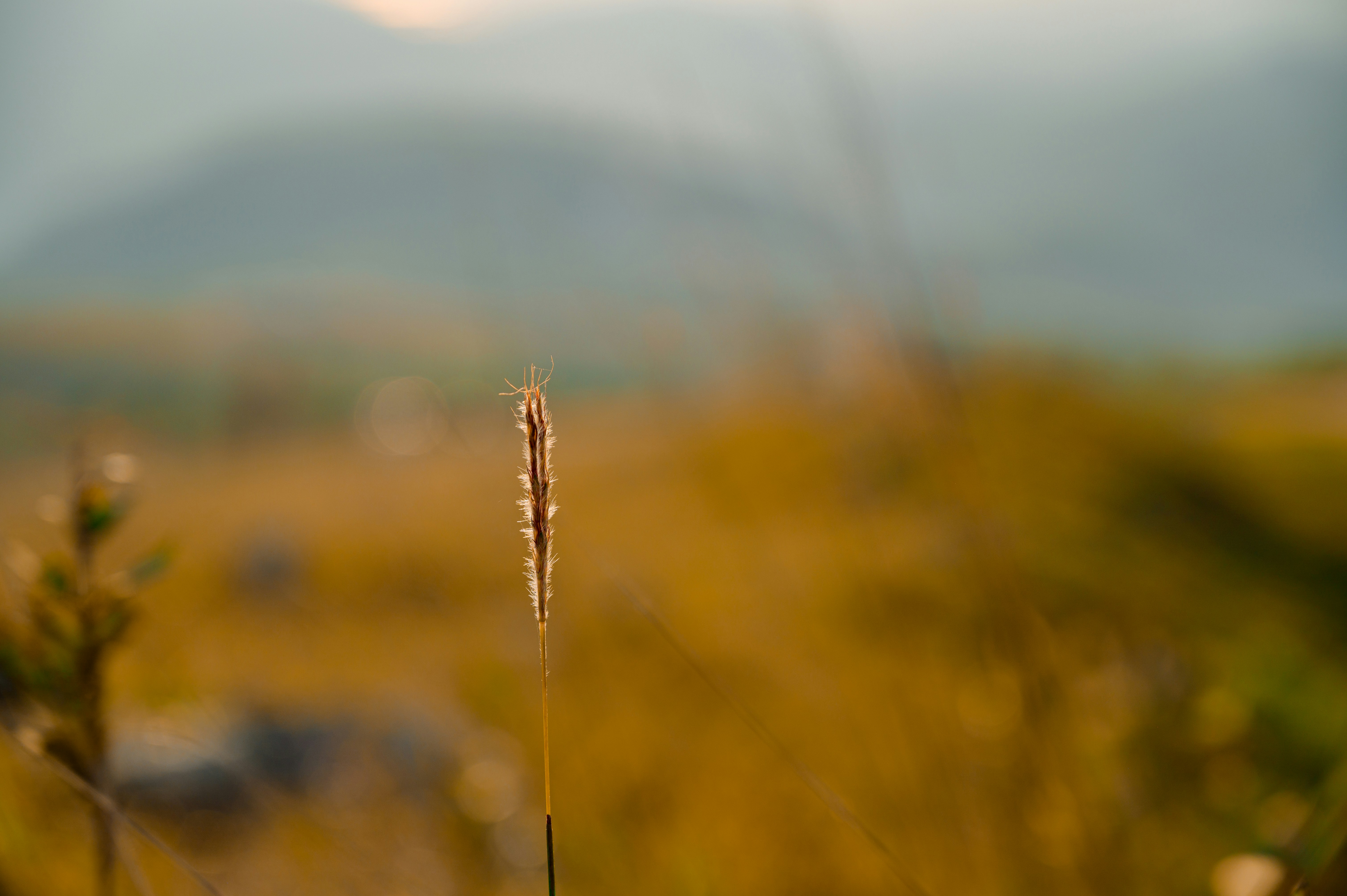 Photo by manhterry93