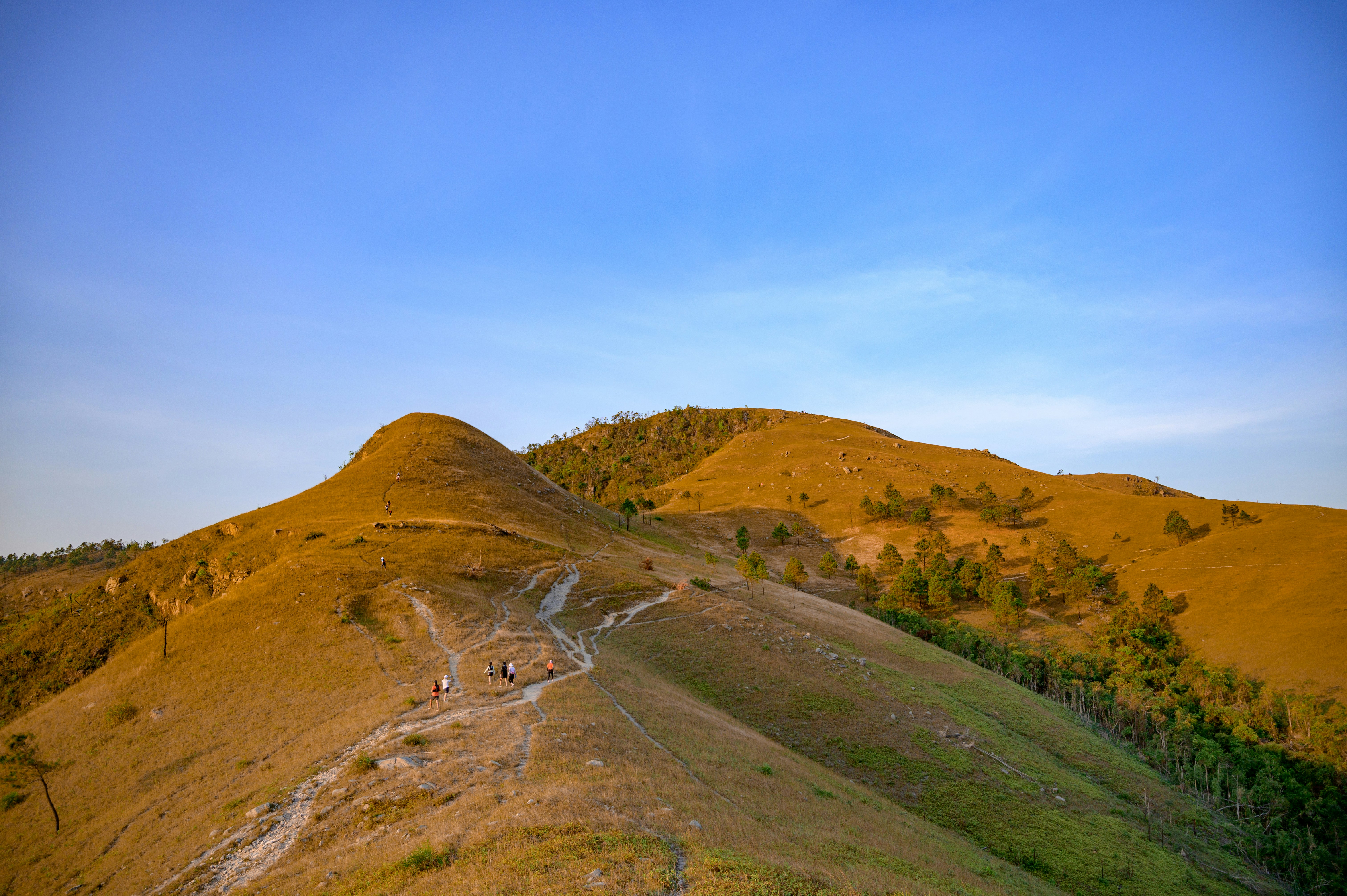 Photo by manhterry93