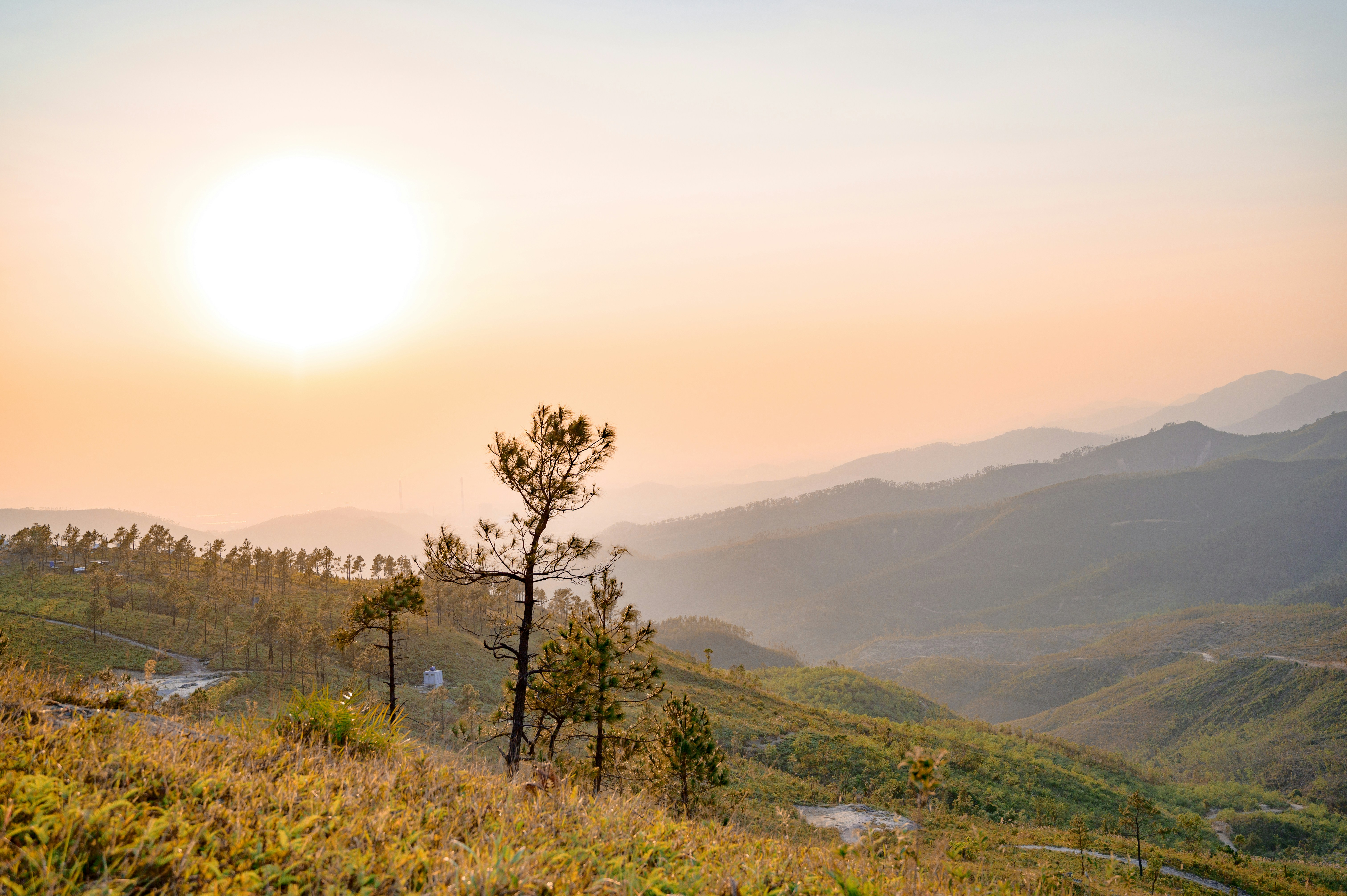 Photo by manhterry93