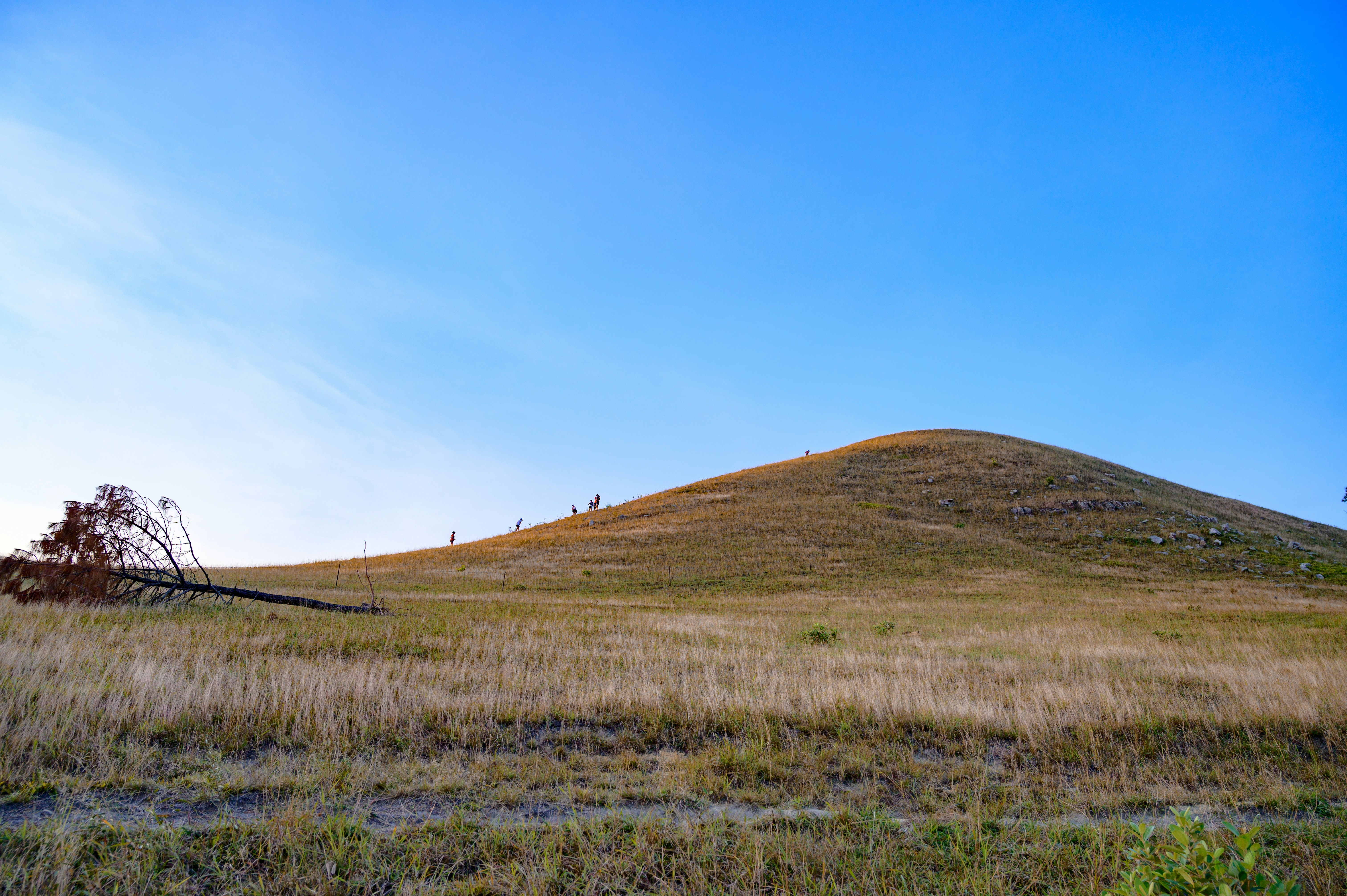 Photo by manhterry93