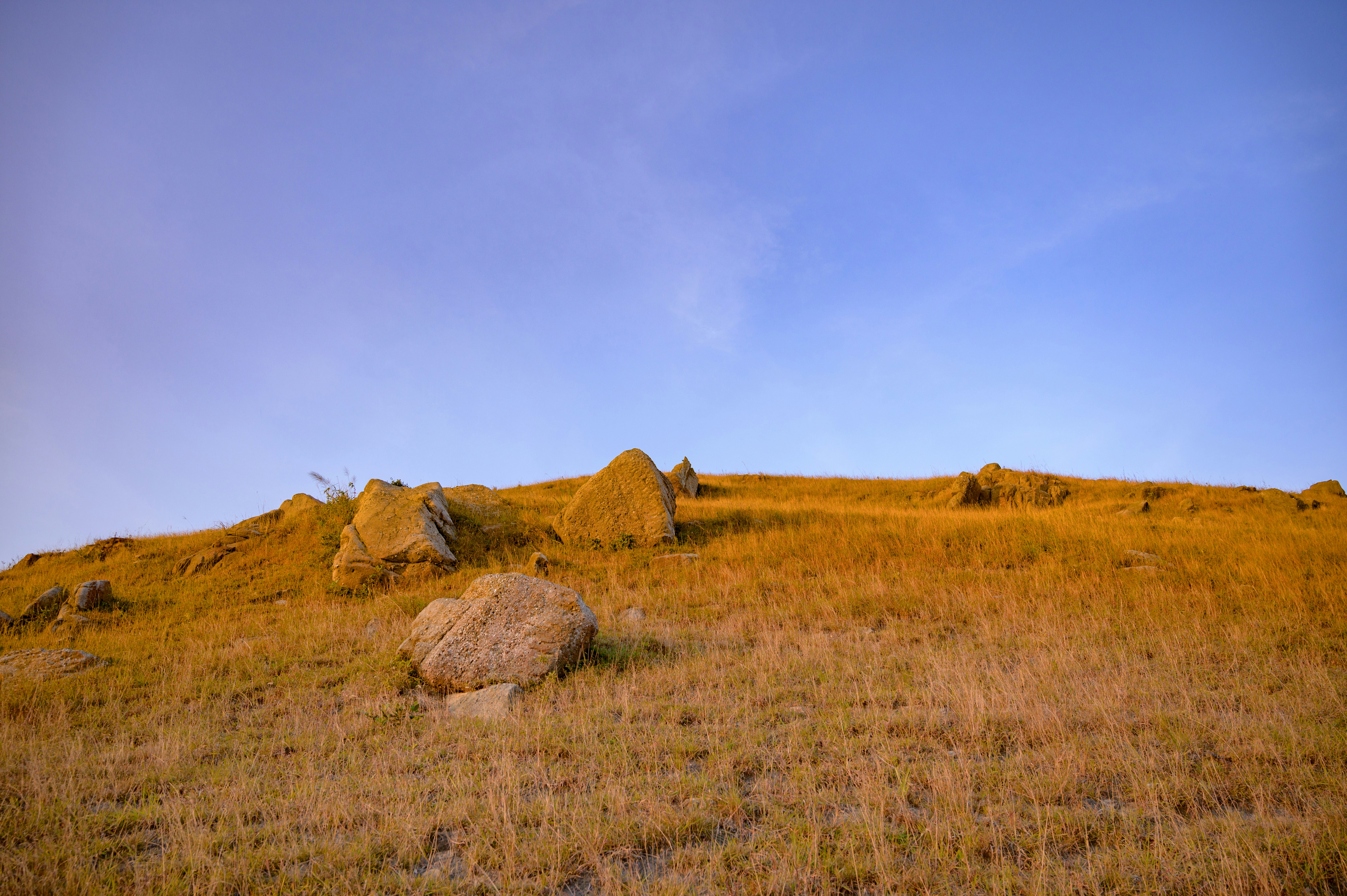 A grassy field with rocks and grass in the foreground