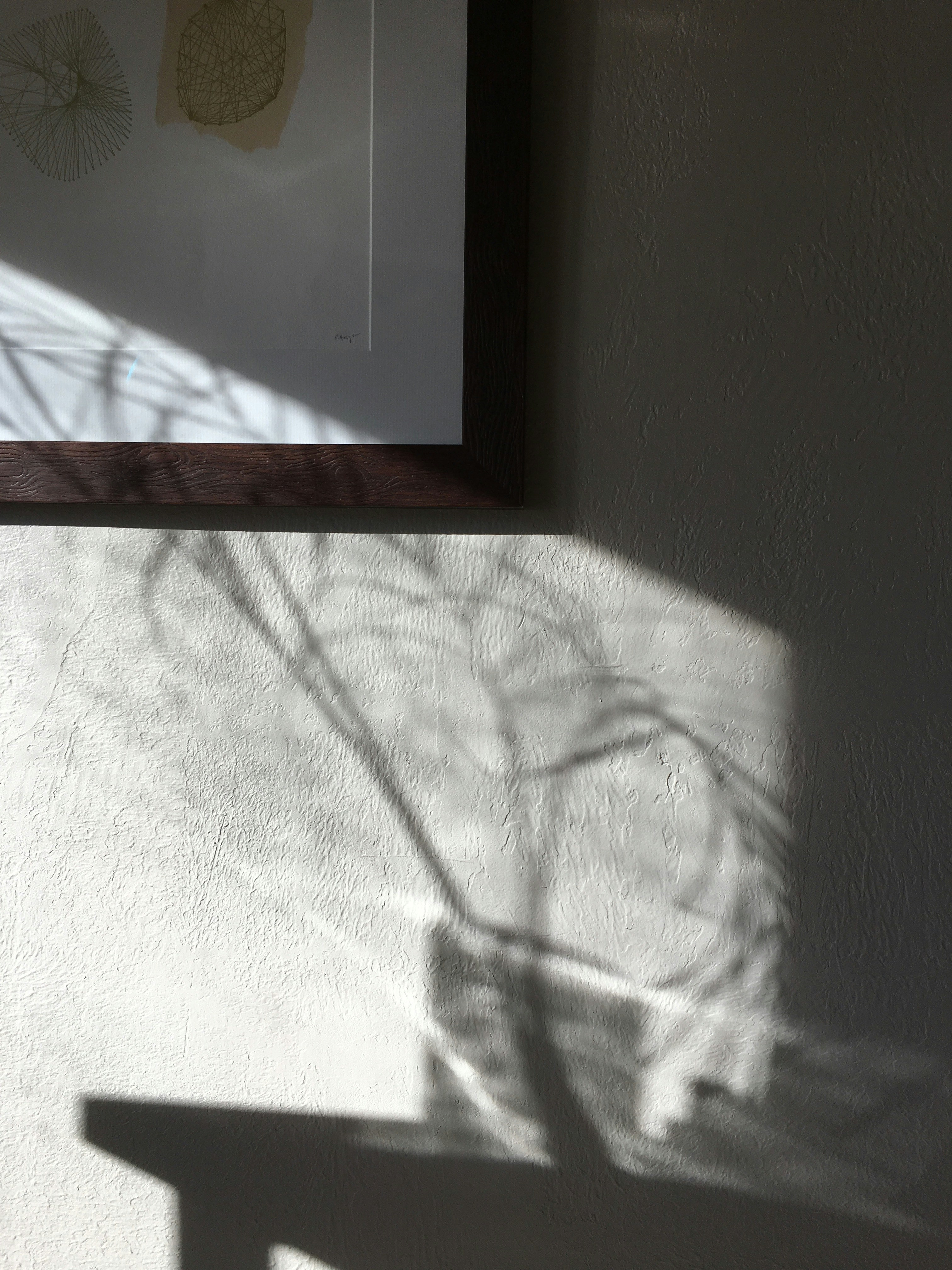 Photo by annalisaovergaard