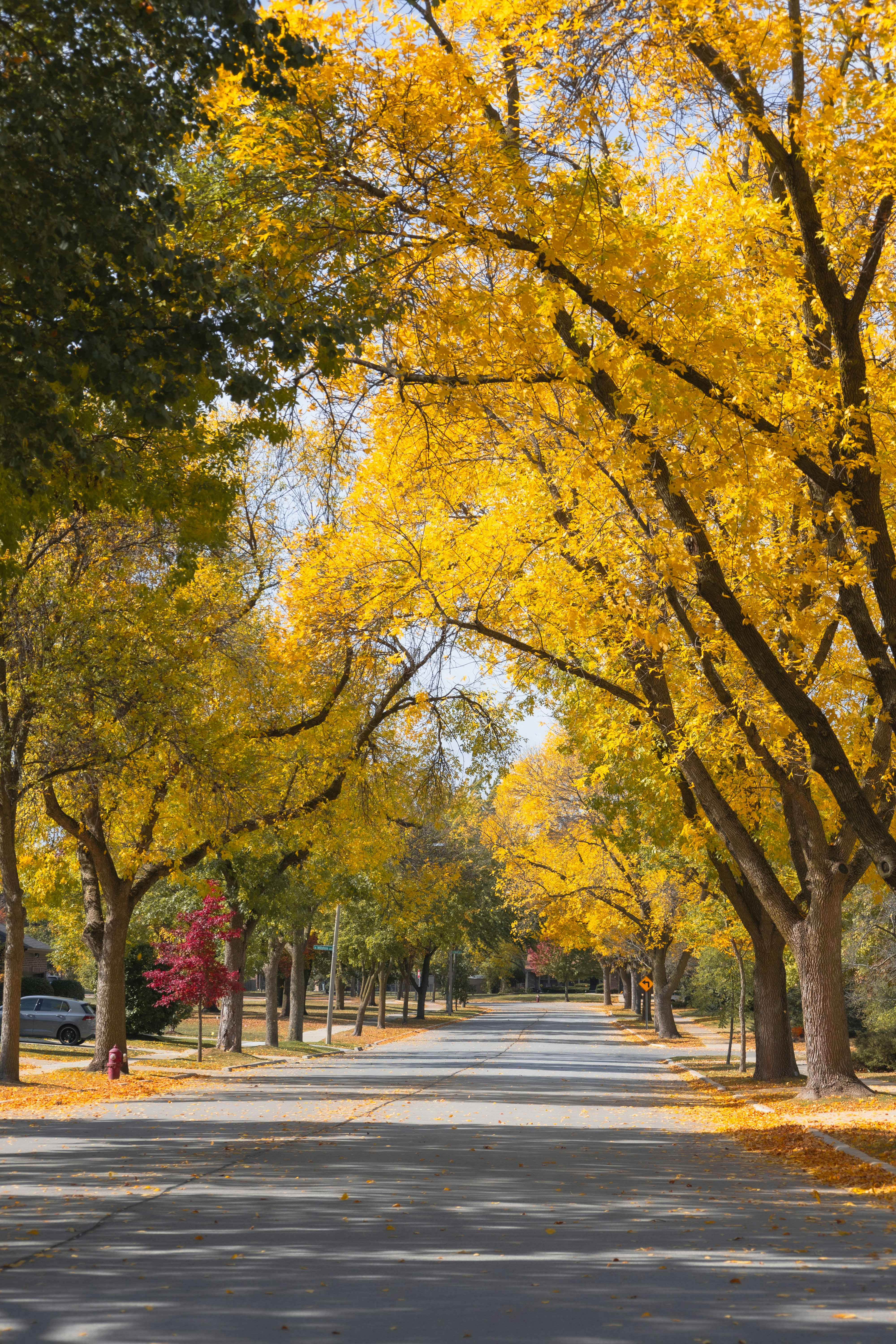 Photo by vincentyuan87