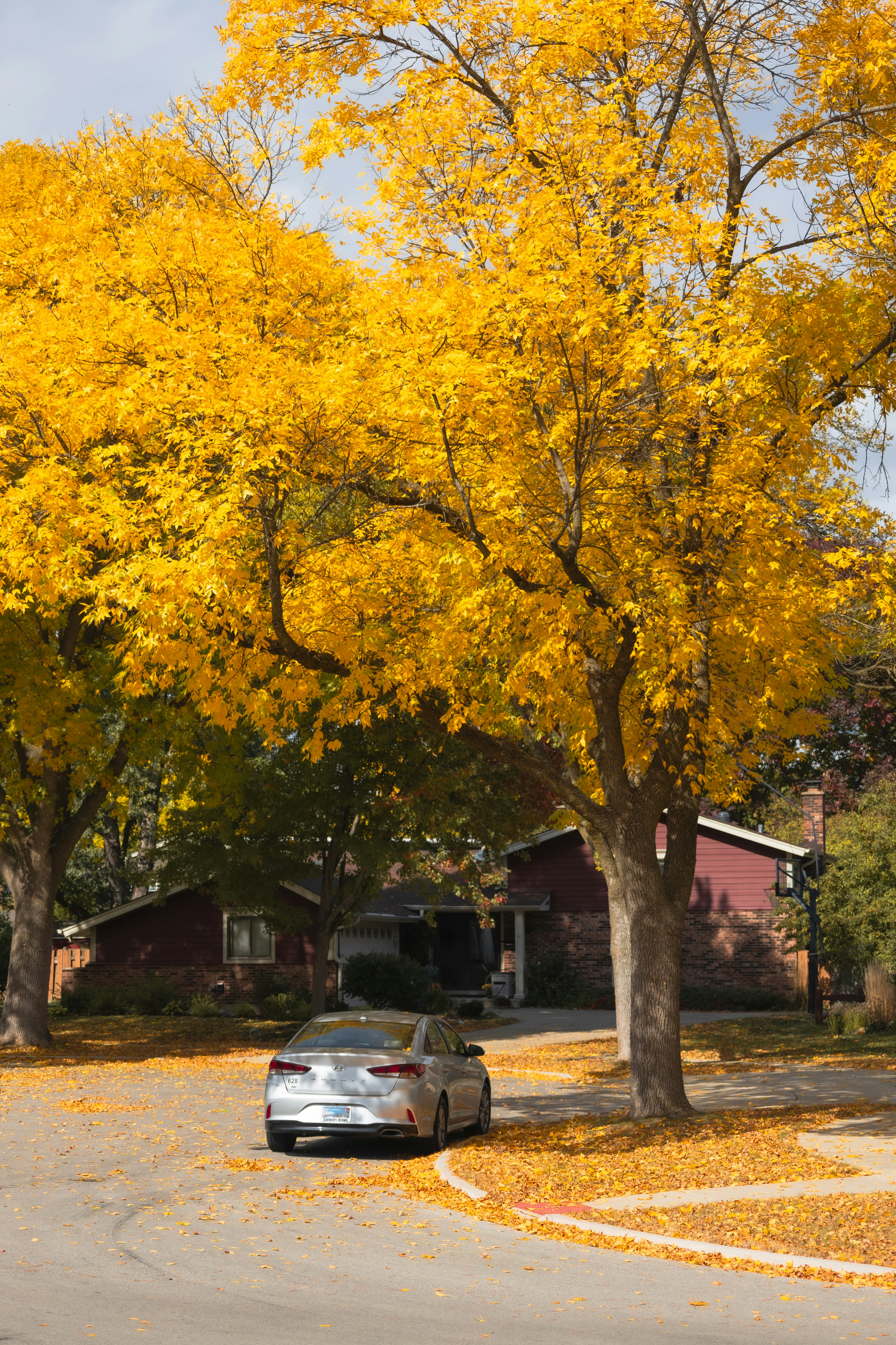 Photo by vincentyuan87