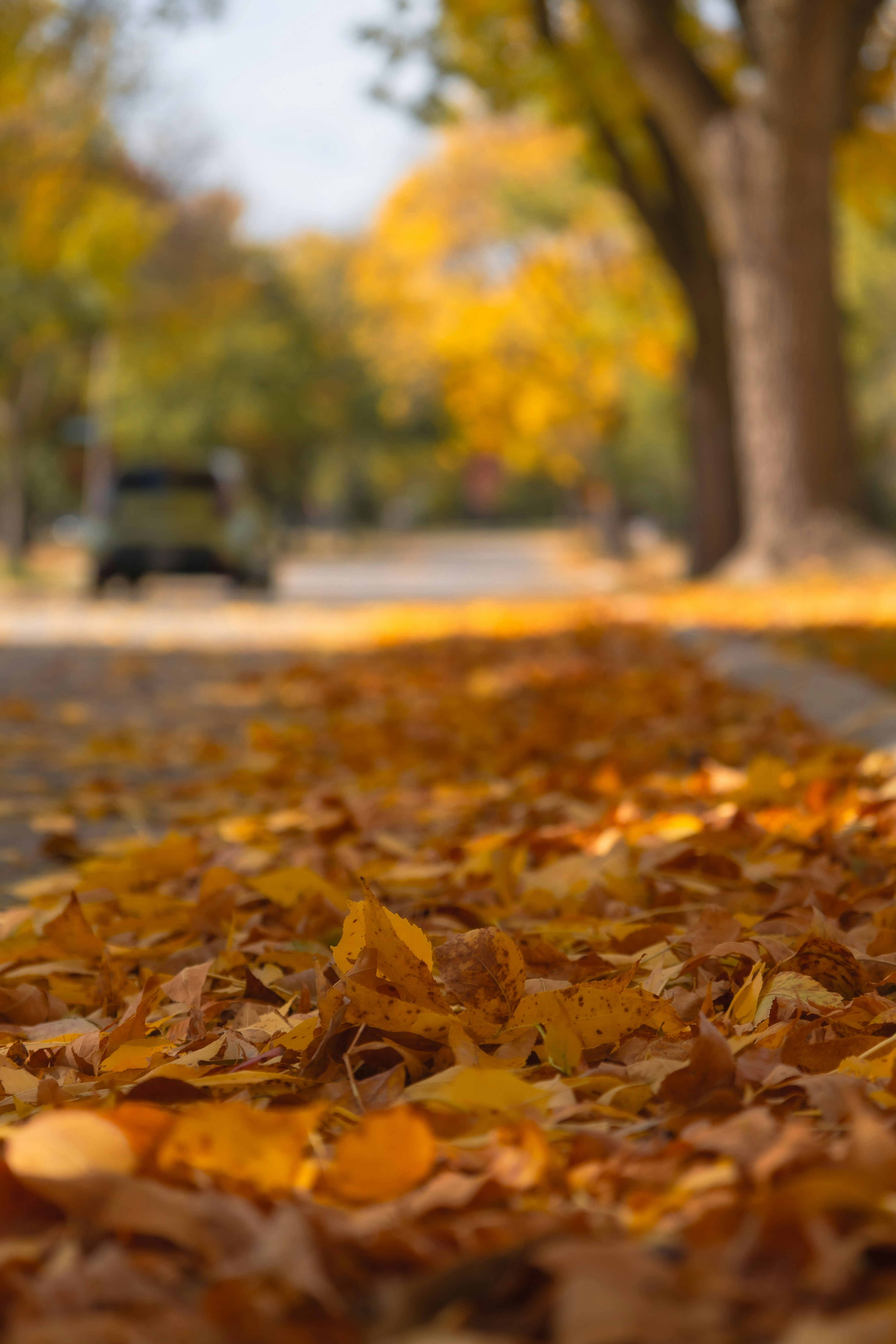 Photo by vincentyuan87