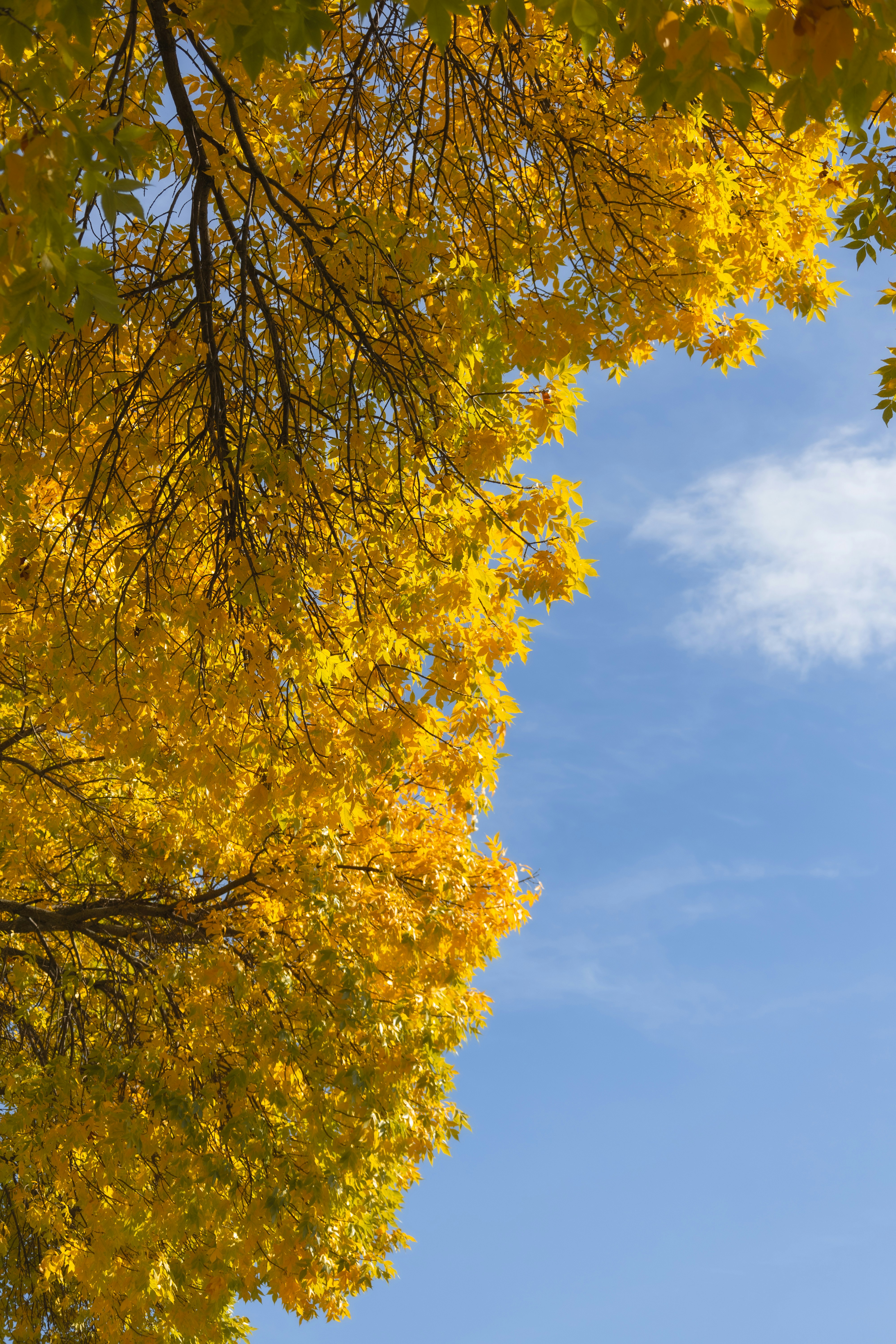 Photo by vincentyuan87