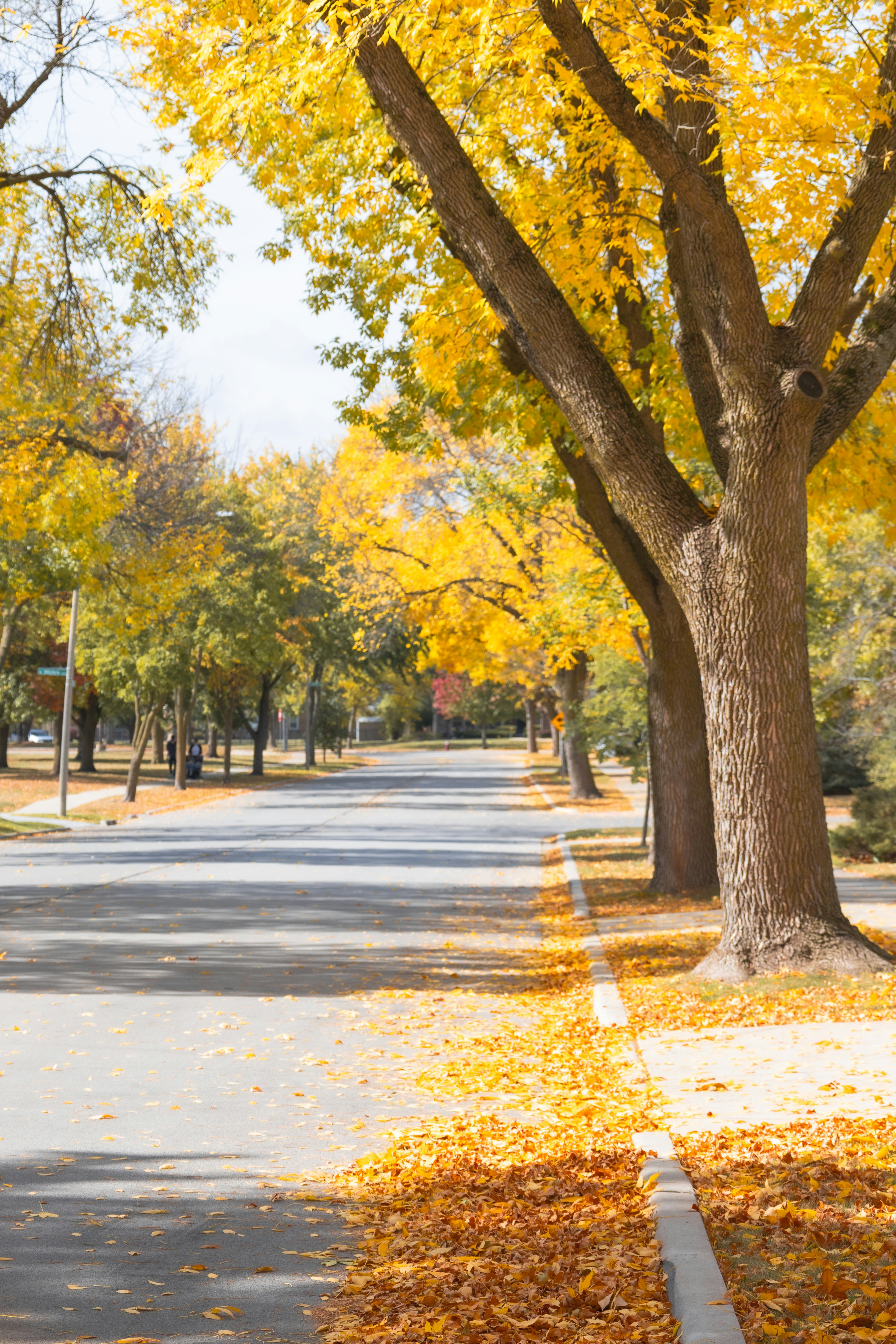 Photo by vincentyuan87