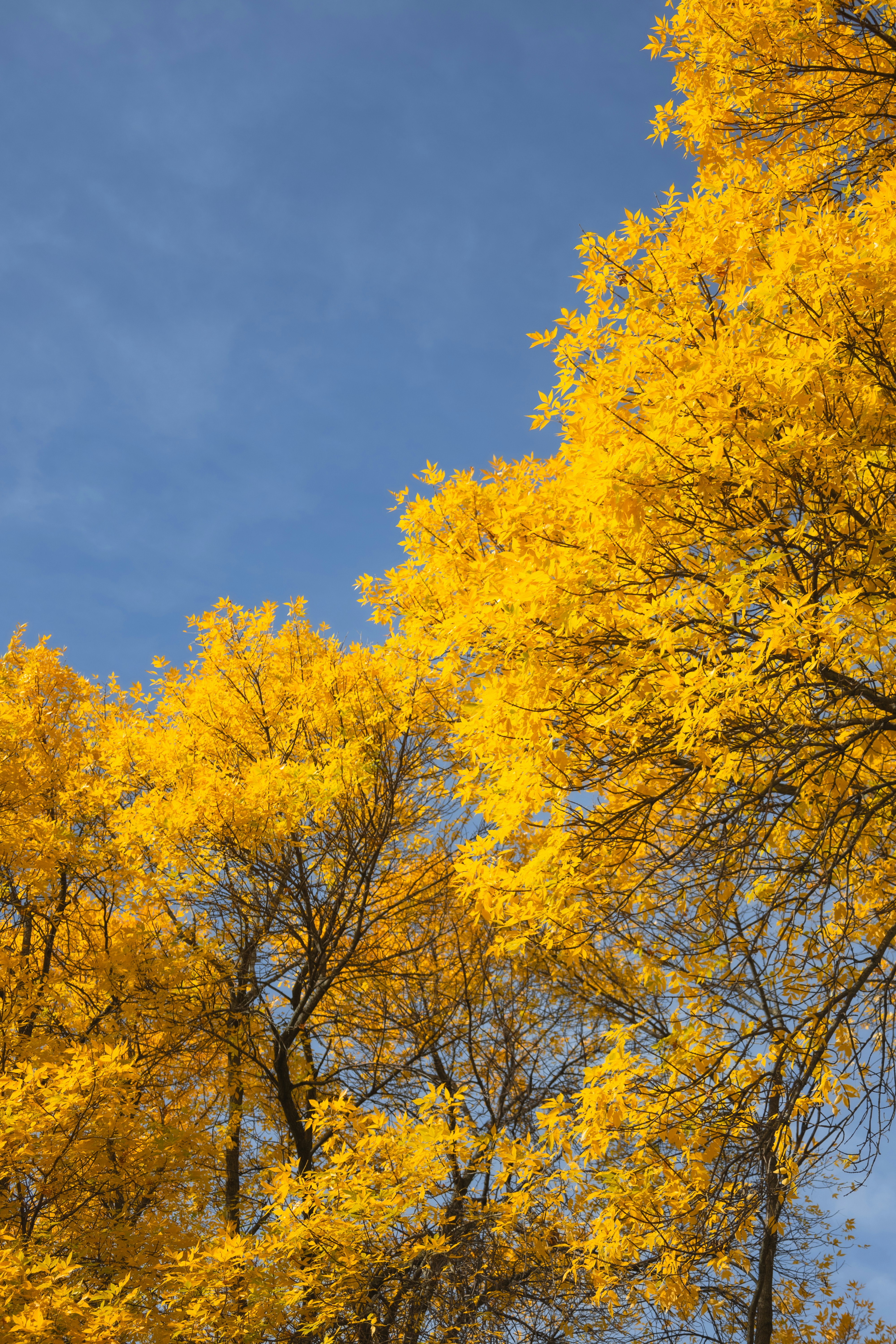 Photo by vincentyuan87