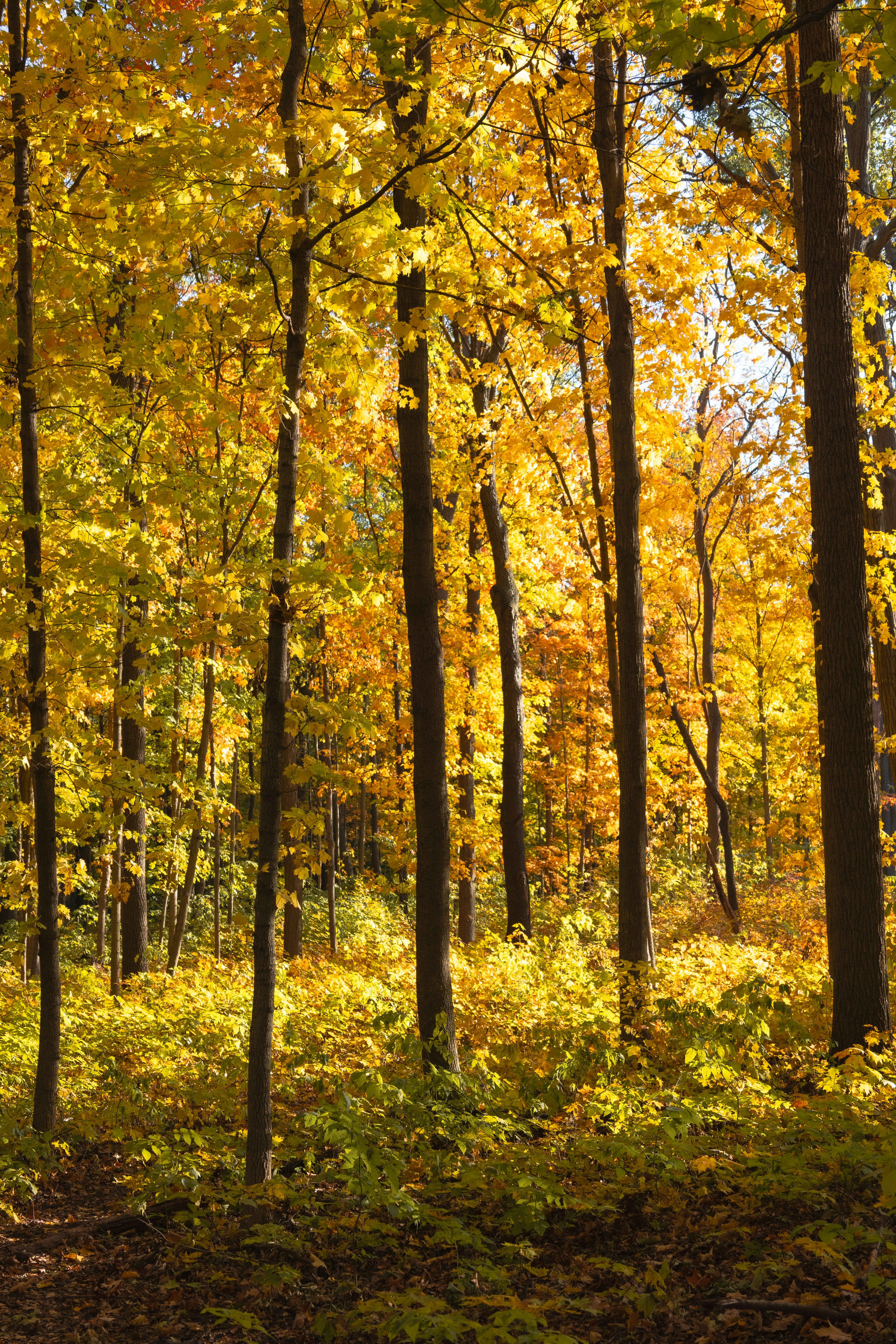 Photo by vincentyuan87