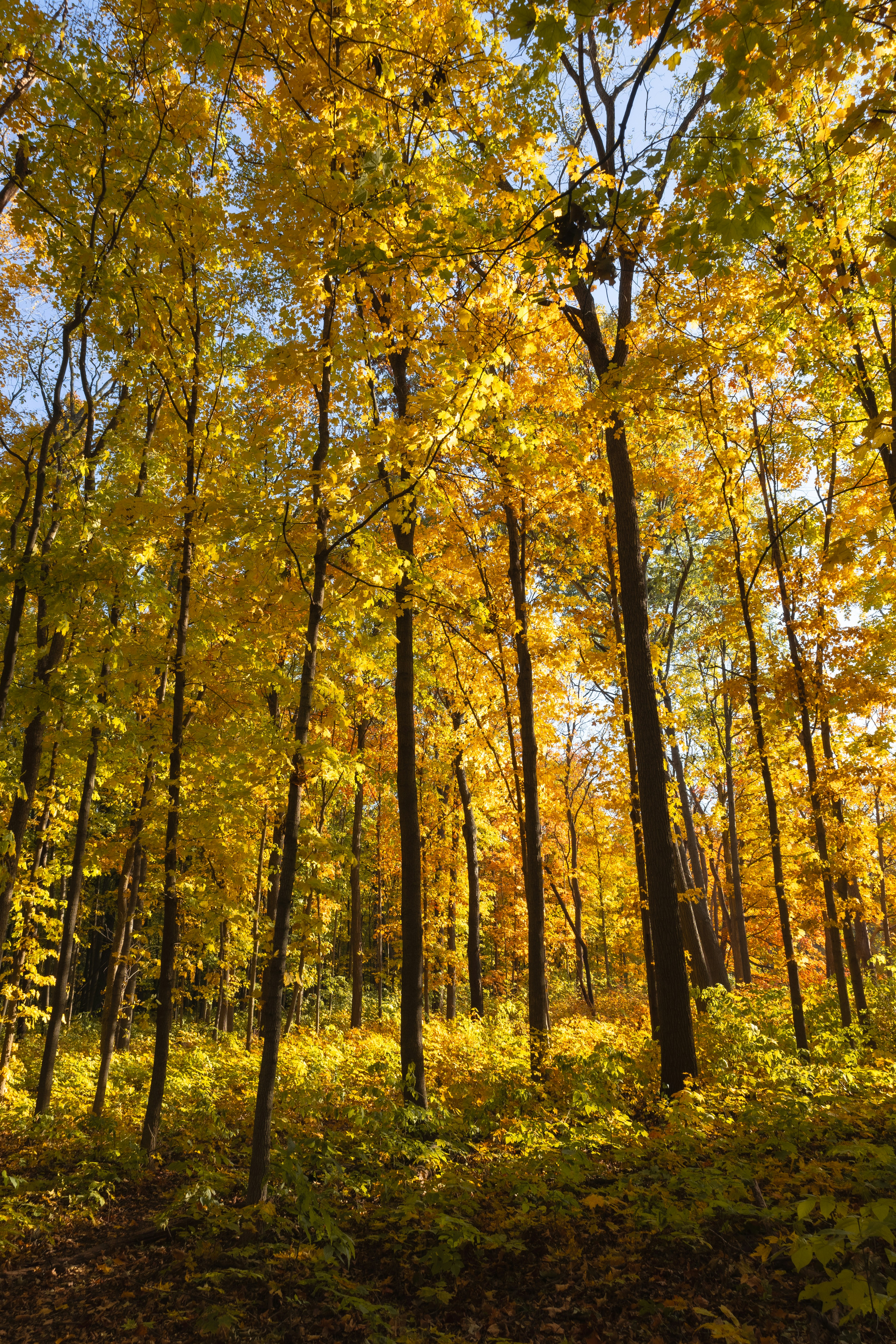 Photo by vincentyuan87