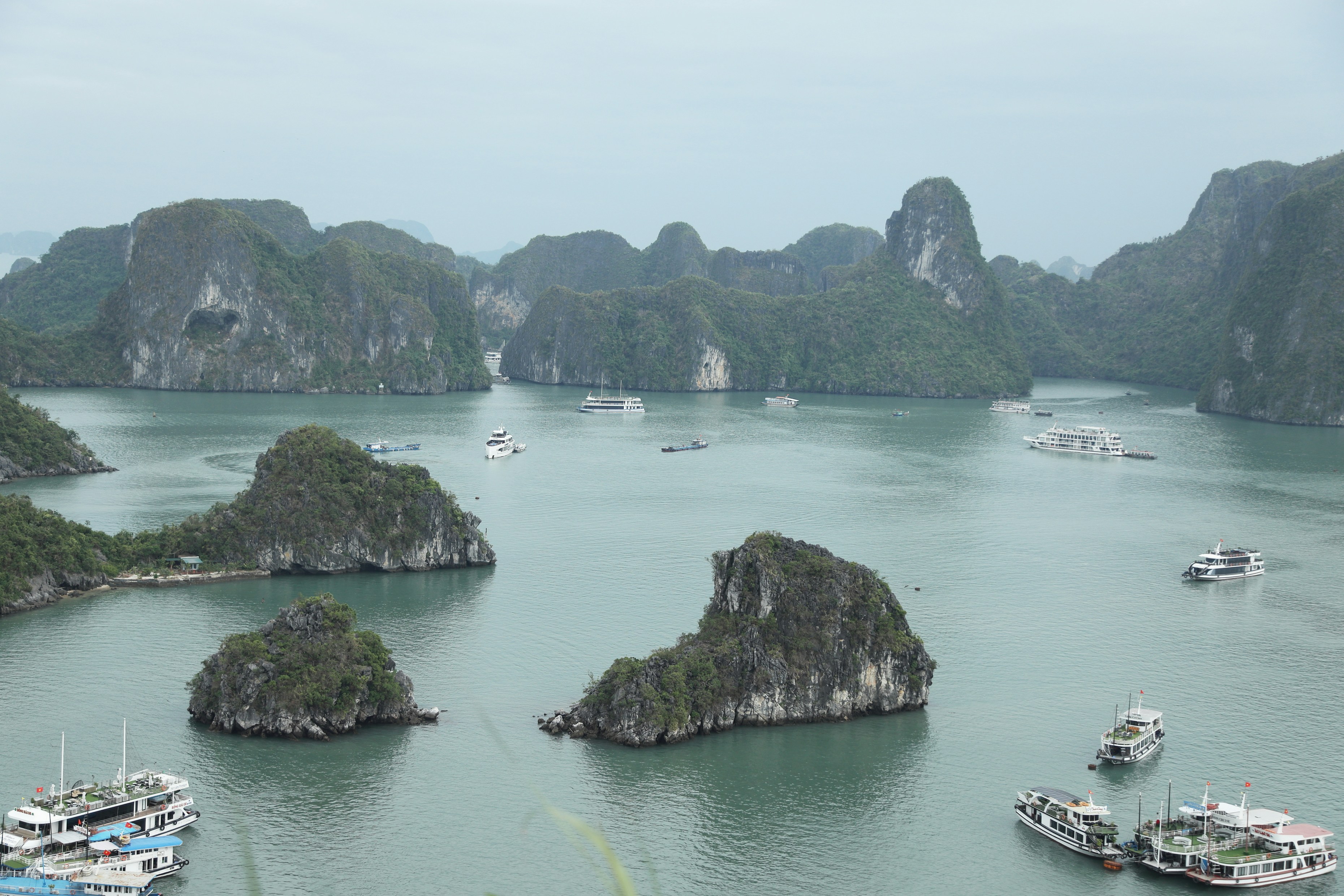 Photo by lakshmimn68