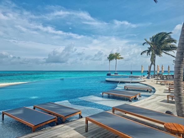A beach with lounge chairs and palm trees