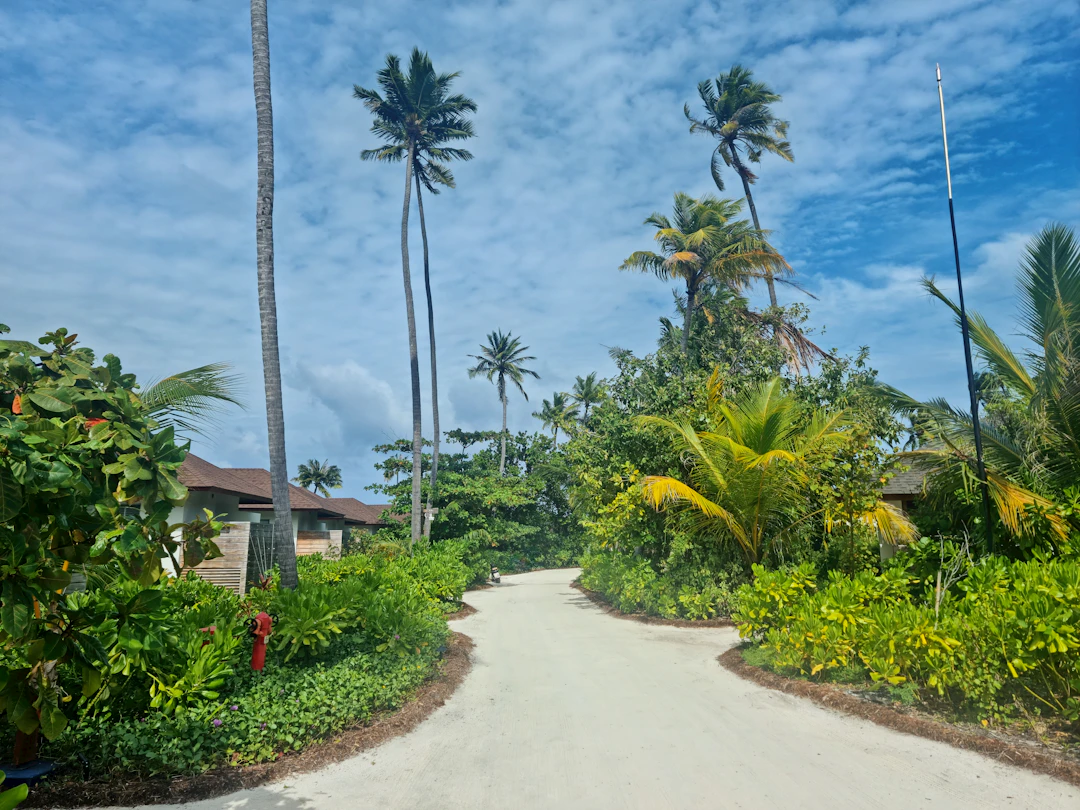 6-Day Hanimaadhoo Family Itinerary: Maldives Local Island