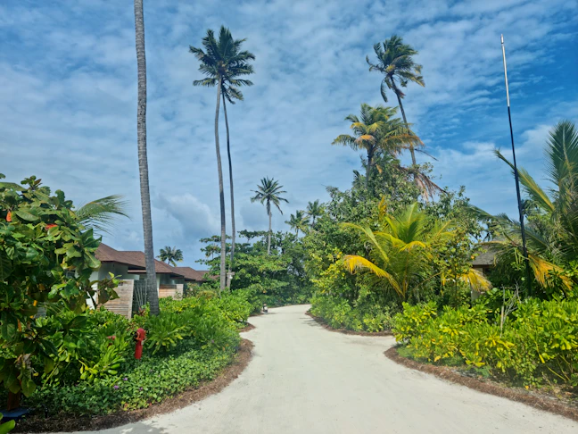 6-Day Hanimaadhoo Family Itinerary: Maldives Local Island