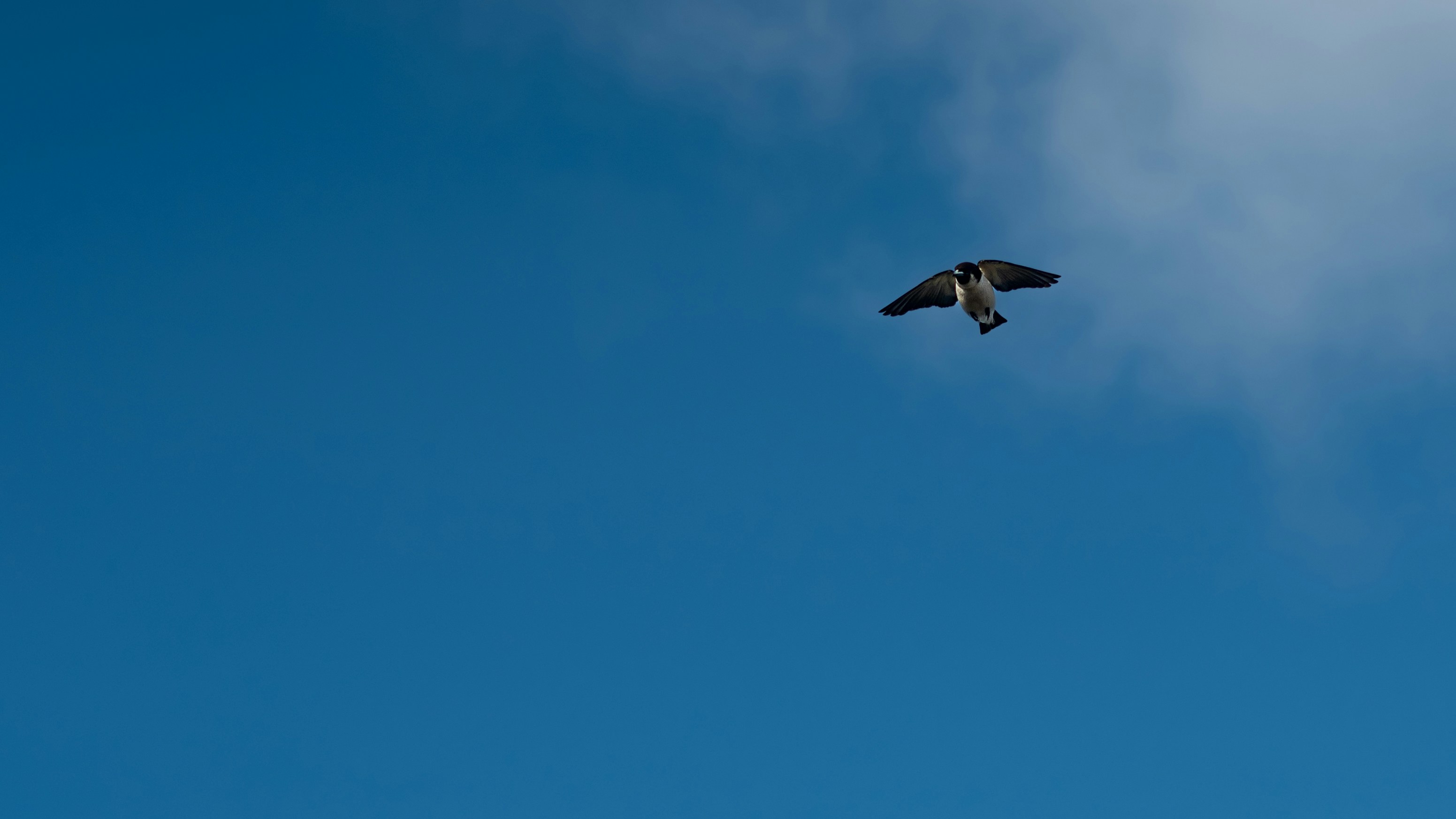 Photo by niktravelstheworld