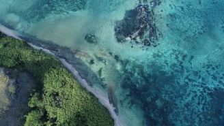An aerial view of the ocean and land