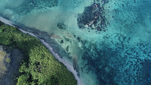An aerial view of the ocean and land